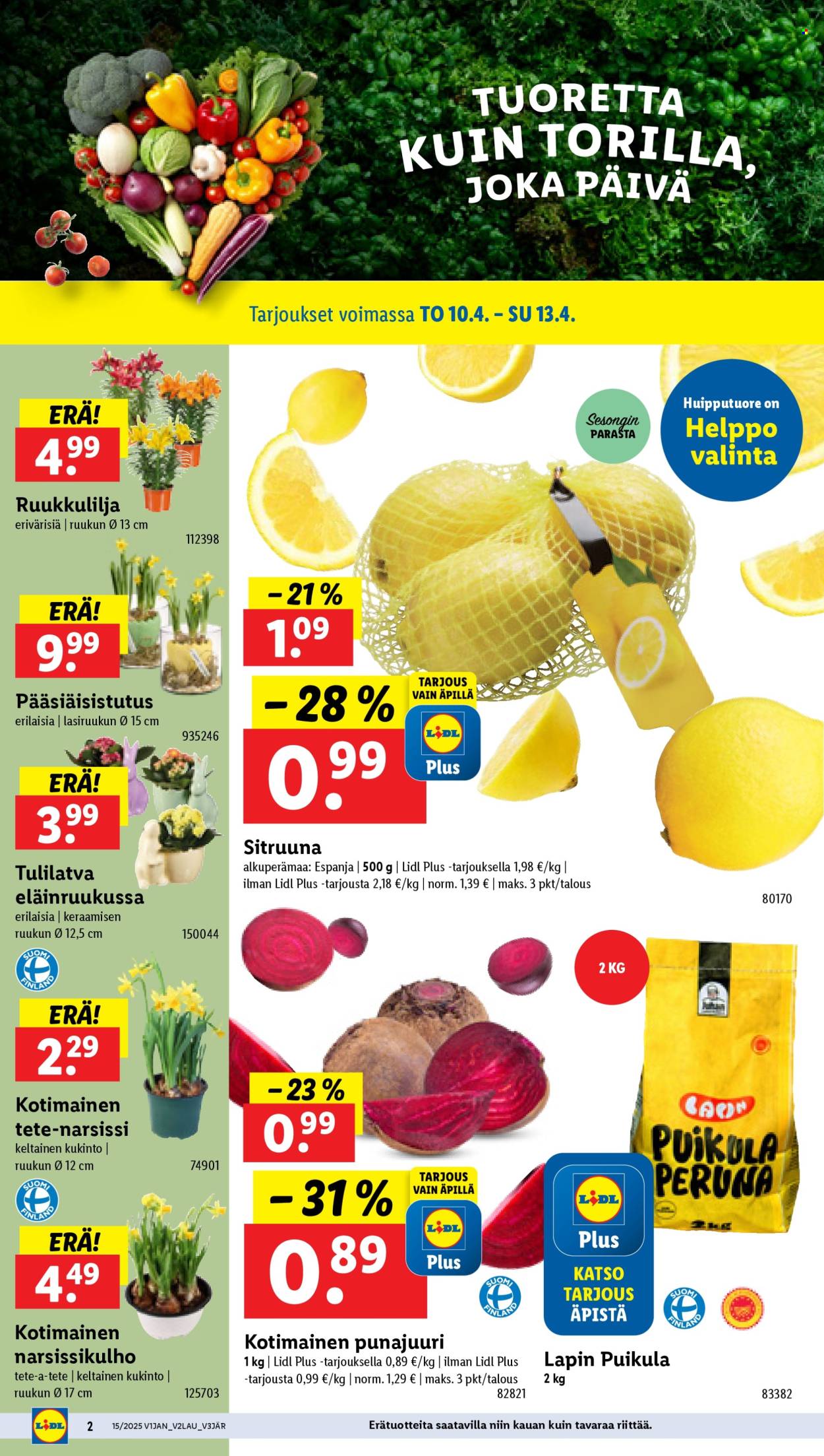 Lidl tarjoukset - 10.04.2025 - 15.04.2025. Sivu 2
