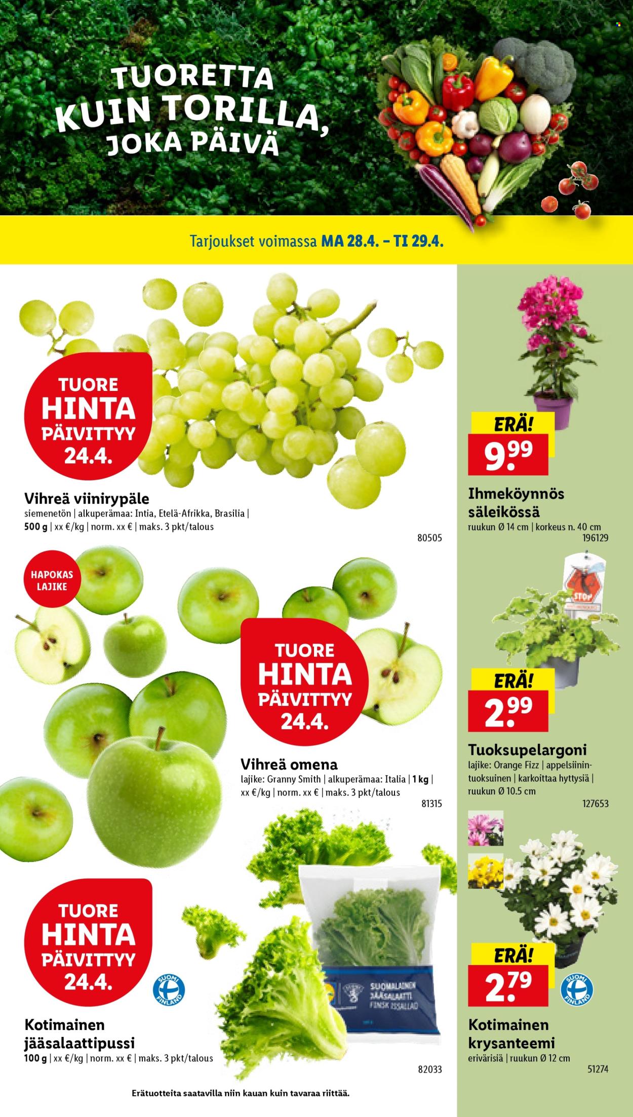 Lidl tarjoukset - 24.04.2025 - 29.04.2025. Sivu 23