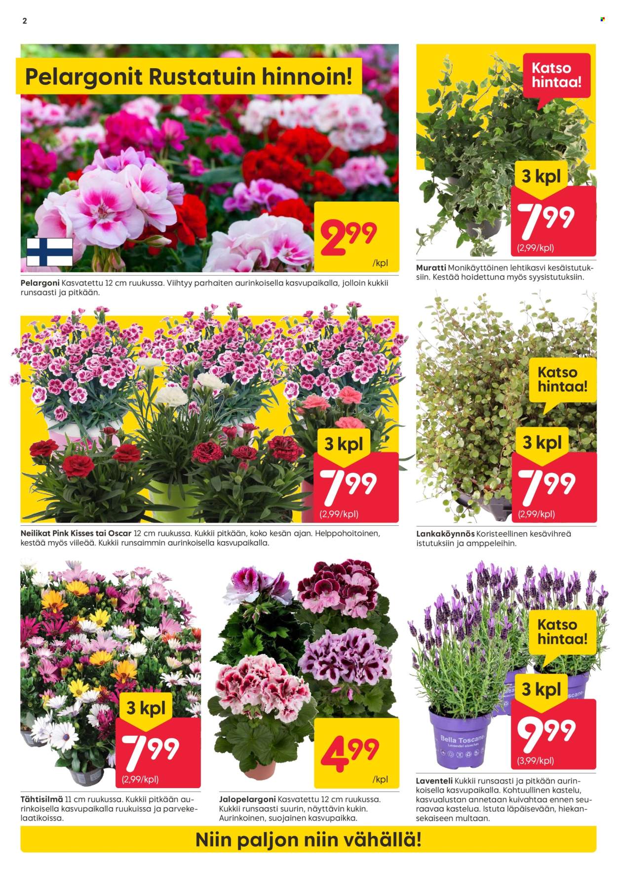 Rusta tarjoukset - 22.04.2025 - 27.04.2025. Sivu 2