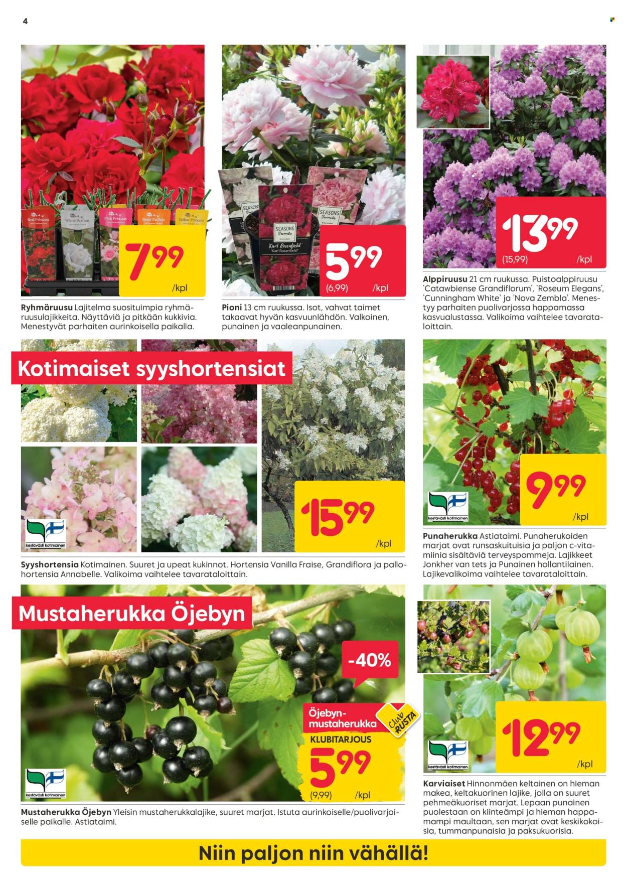 Rusta tarjoukset - 22.04.2025 - 27.04.2025. Sivu 4