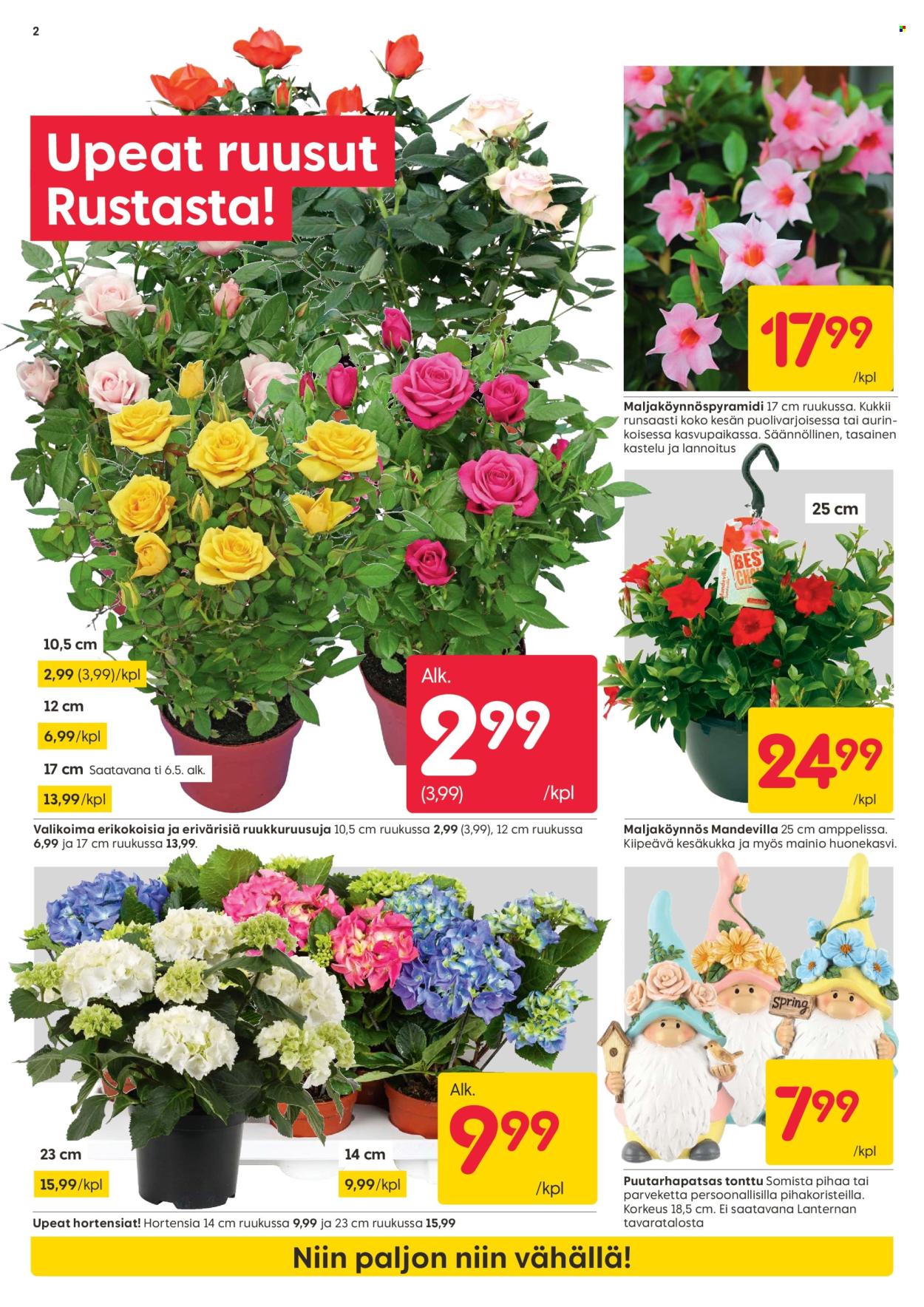 Rusta tarjoukset - 28.04.2025 - 04.05.2025. Sivu 2