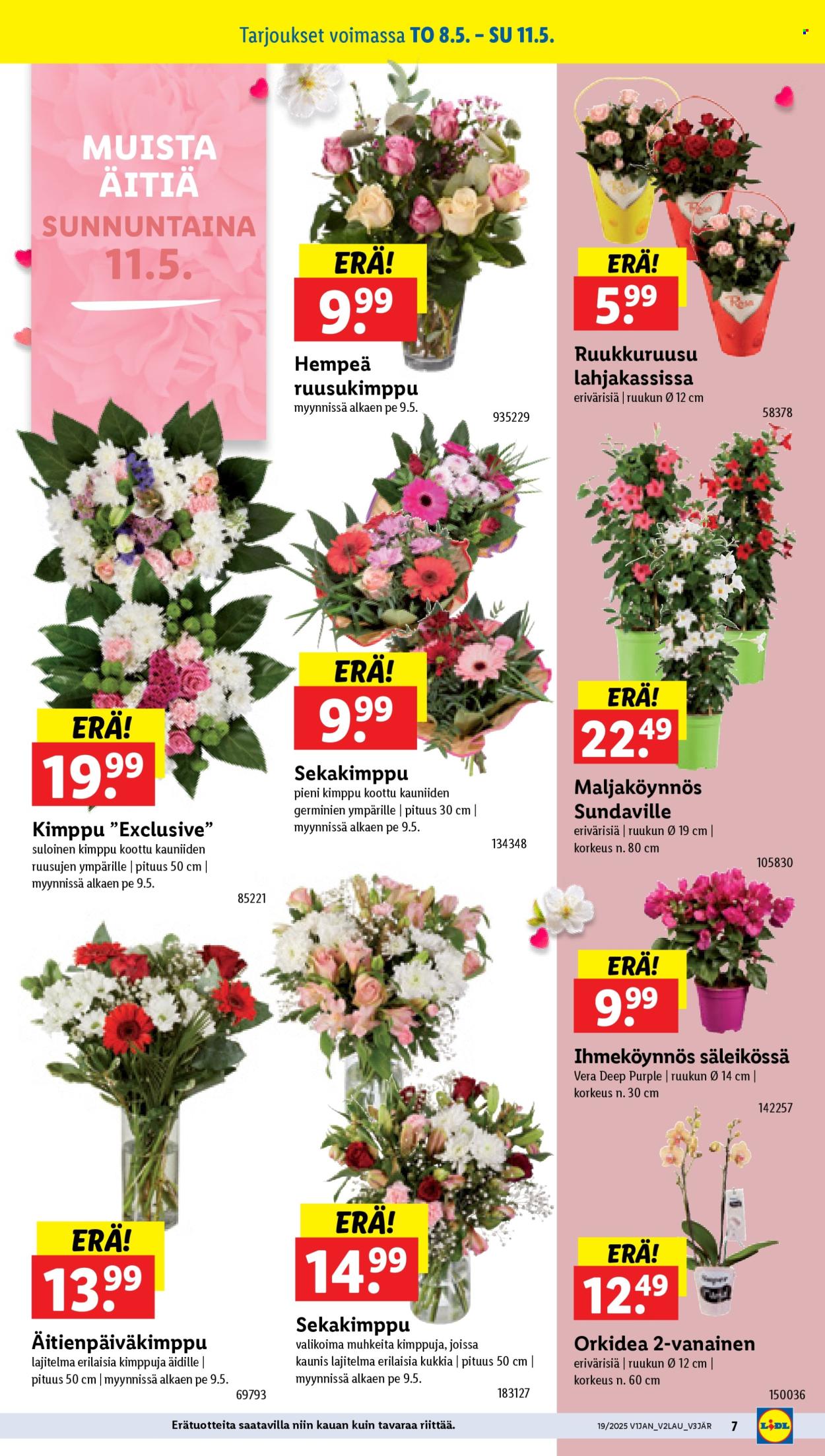 Lidl tarjoukset - 08.05.2025 - 14.05.2025. Sivu 9