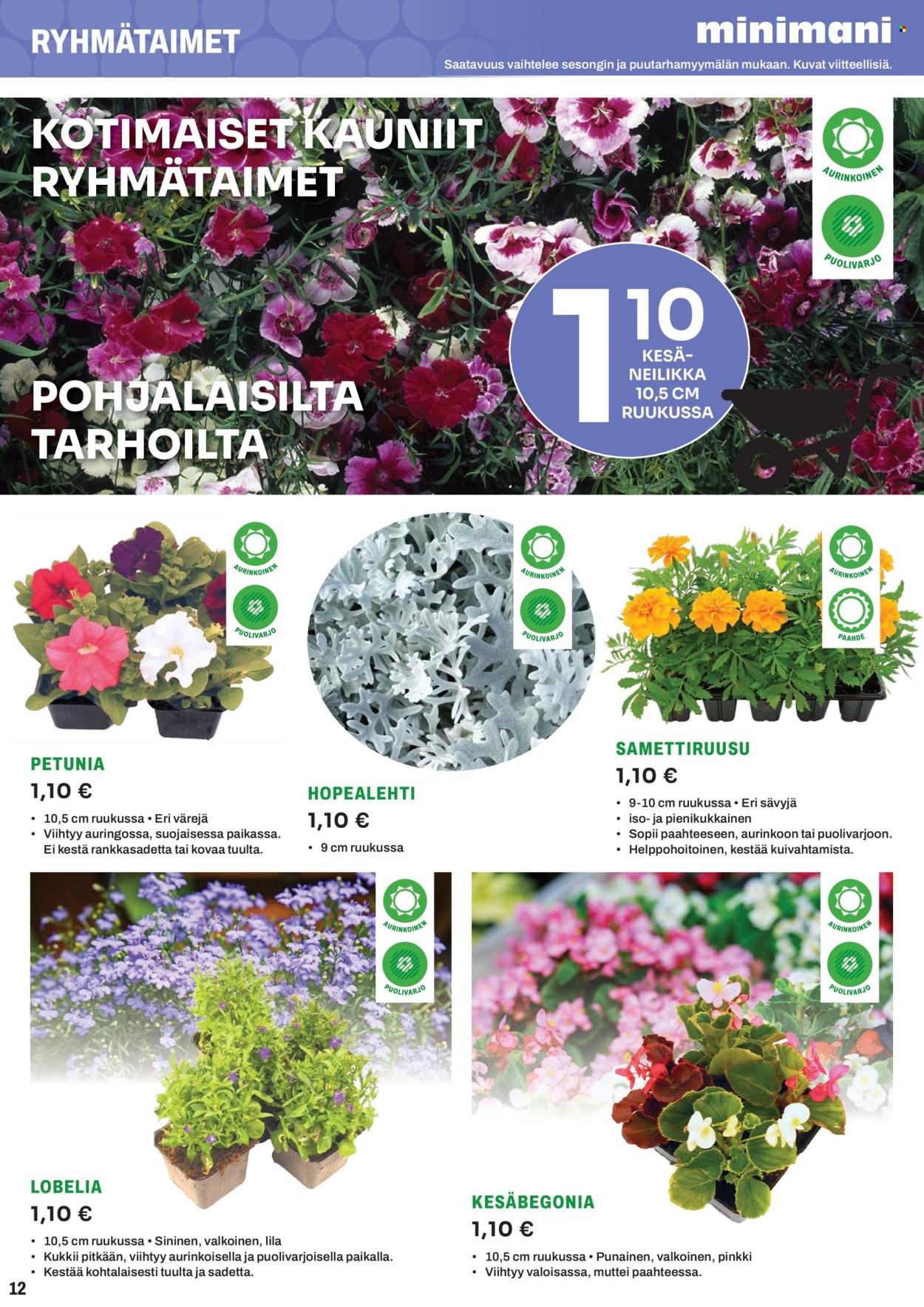 Minimani tarjoukset. Sivu 12