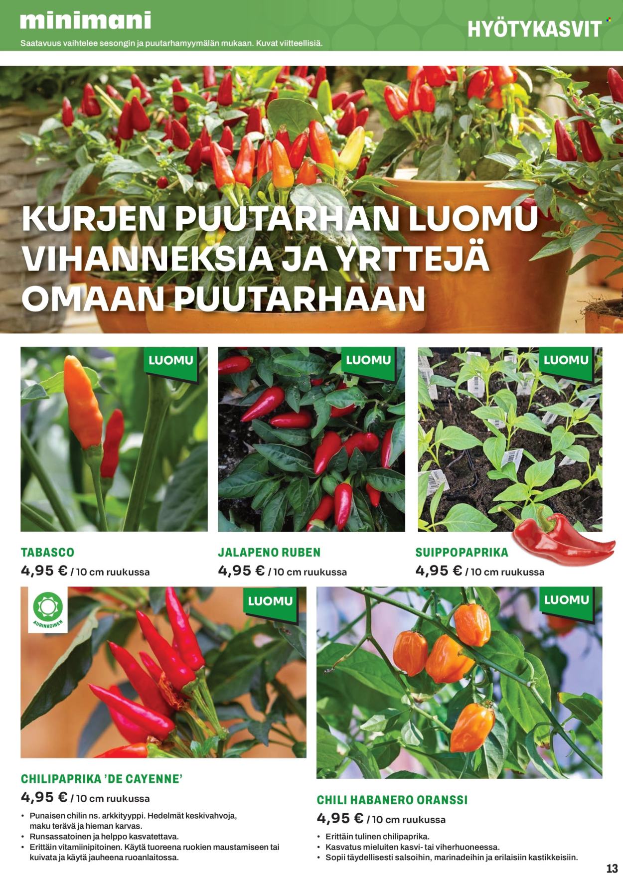 Minimani tarjoukset. Sivu 13