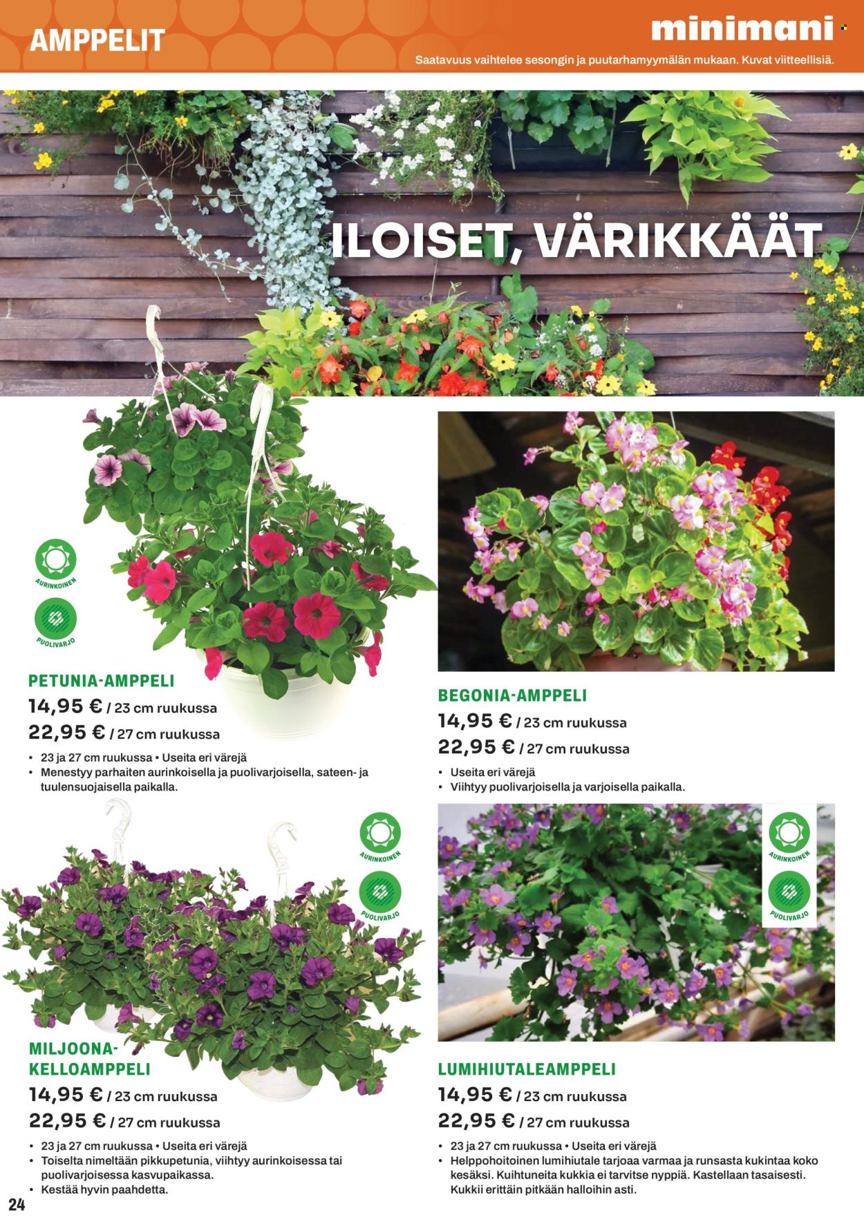 Minimani tarjoukset. Sivu 24
