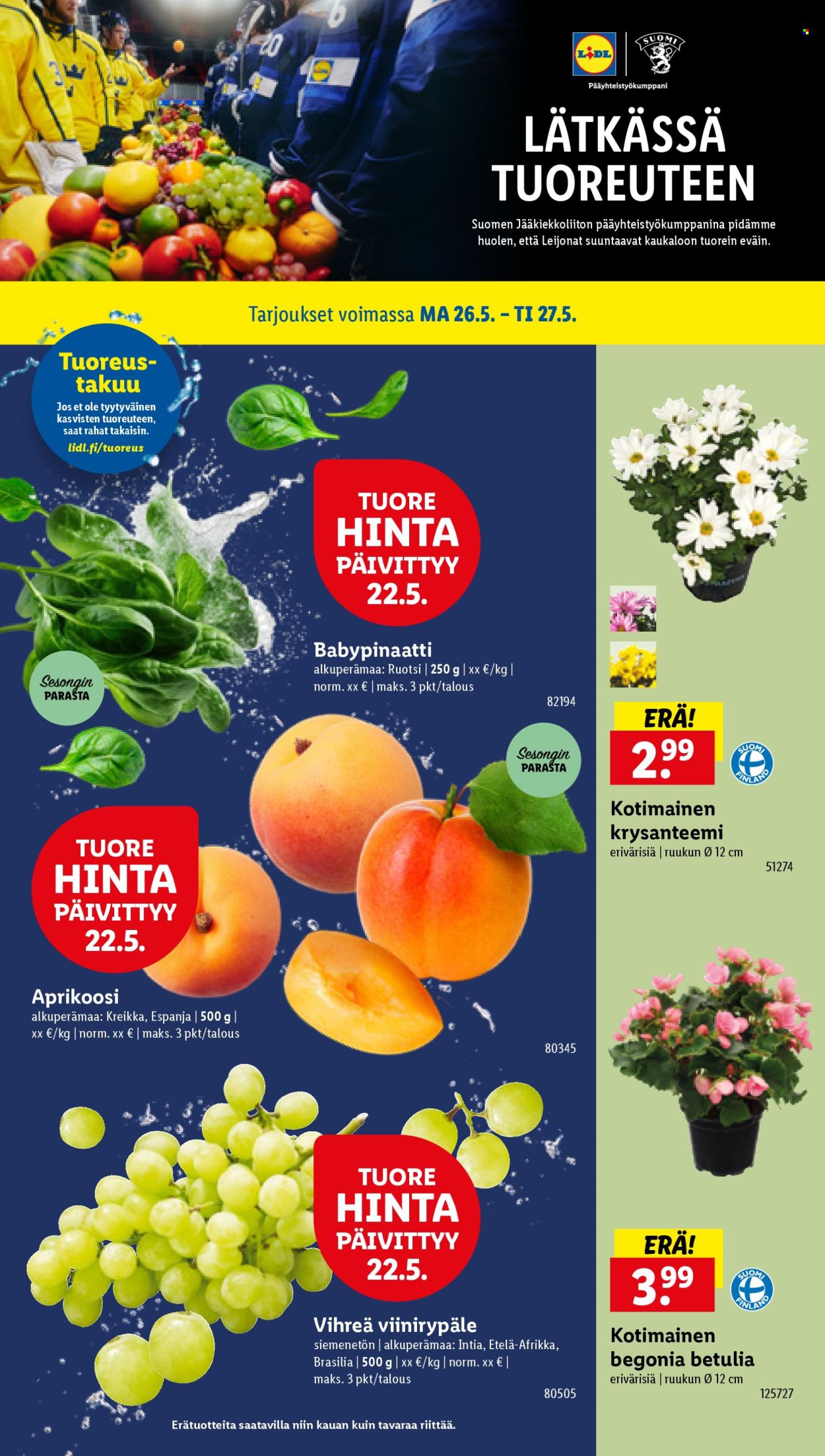 Lidl tarjoukset - 22.05.2025 - 27.05.2025. Sivu 27