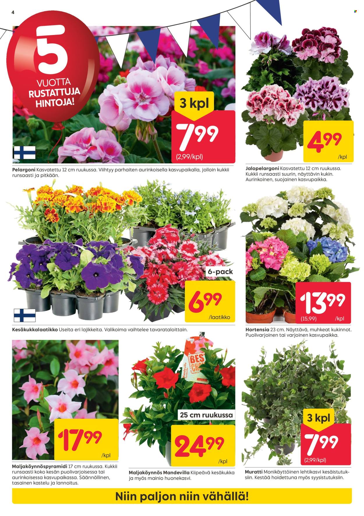 Rusta tarjoukset - 19.05.2025 - 25.05.2025. Sivu 4