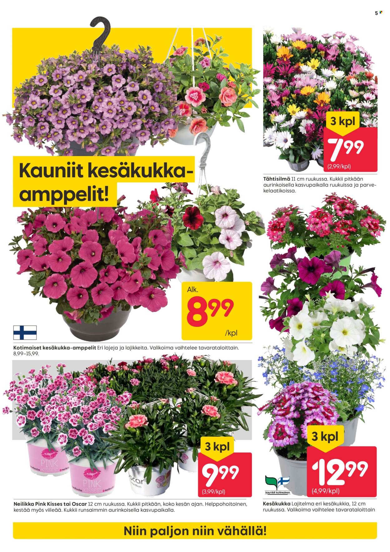 Rusta tarjoukset - 19.05.2025 - 25.05.2025. Sivu 5