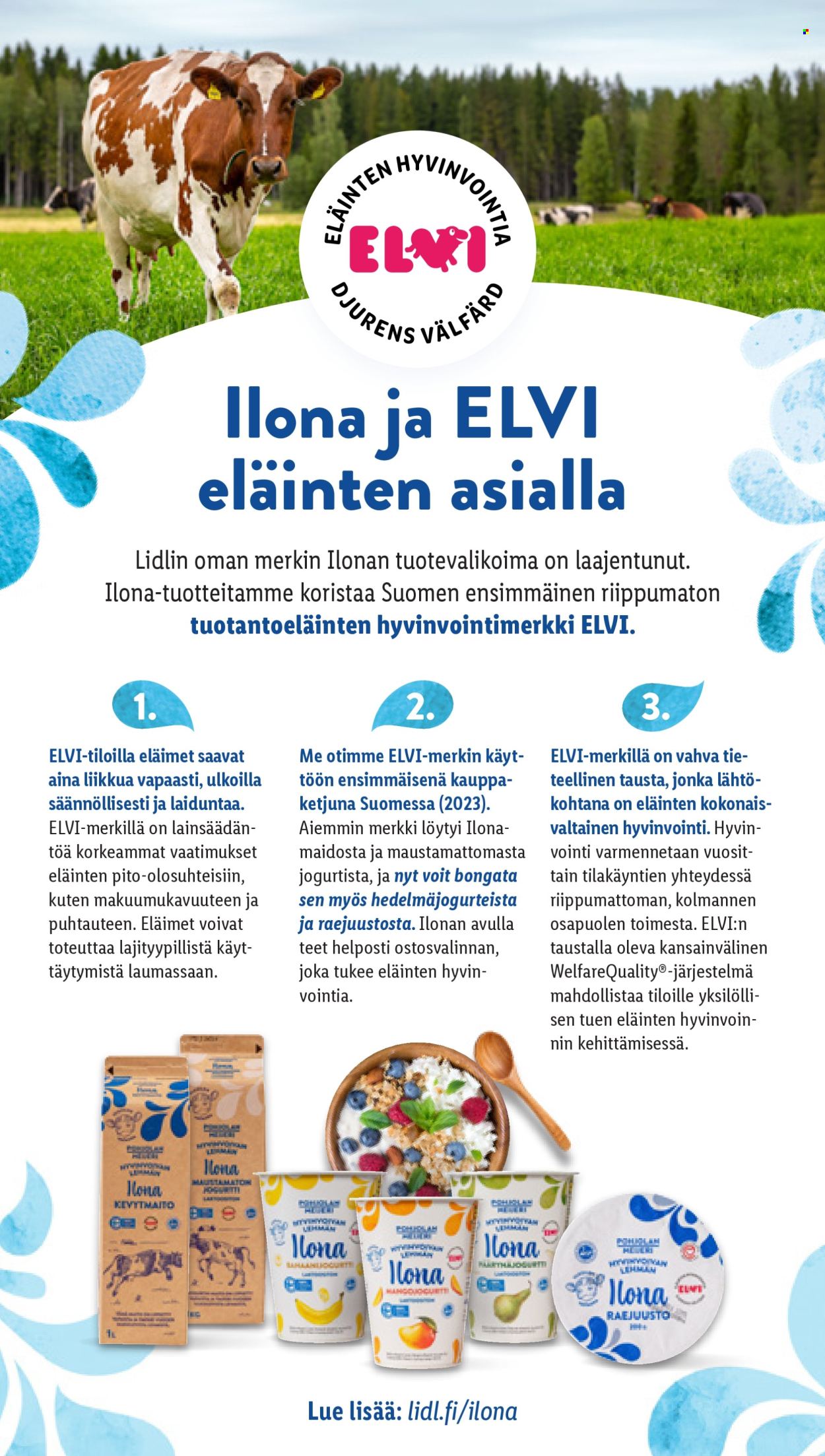 Lidl tarjoukset - 28.05.2025 - 04.06.2025. Sivu 33
