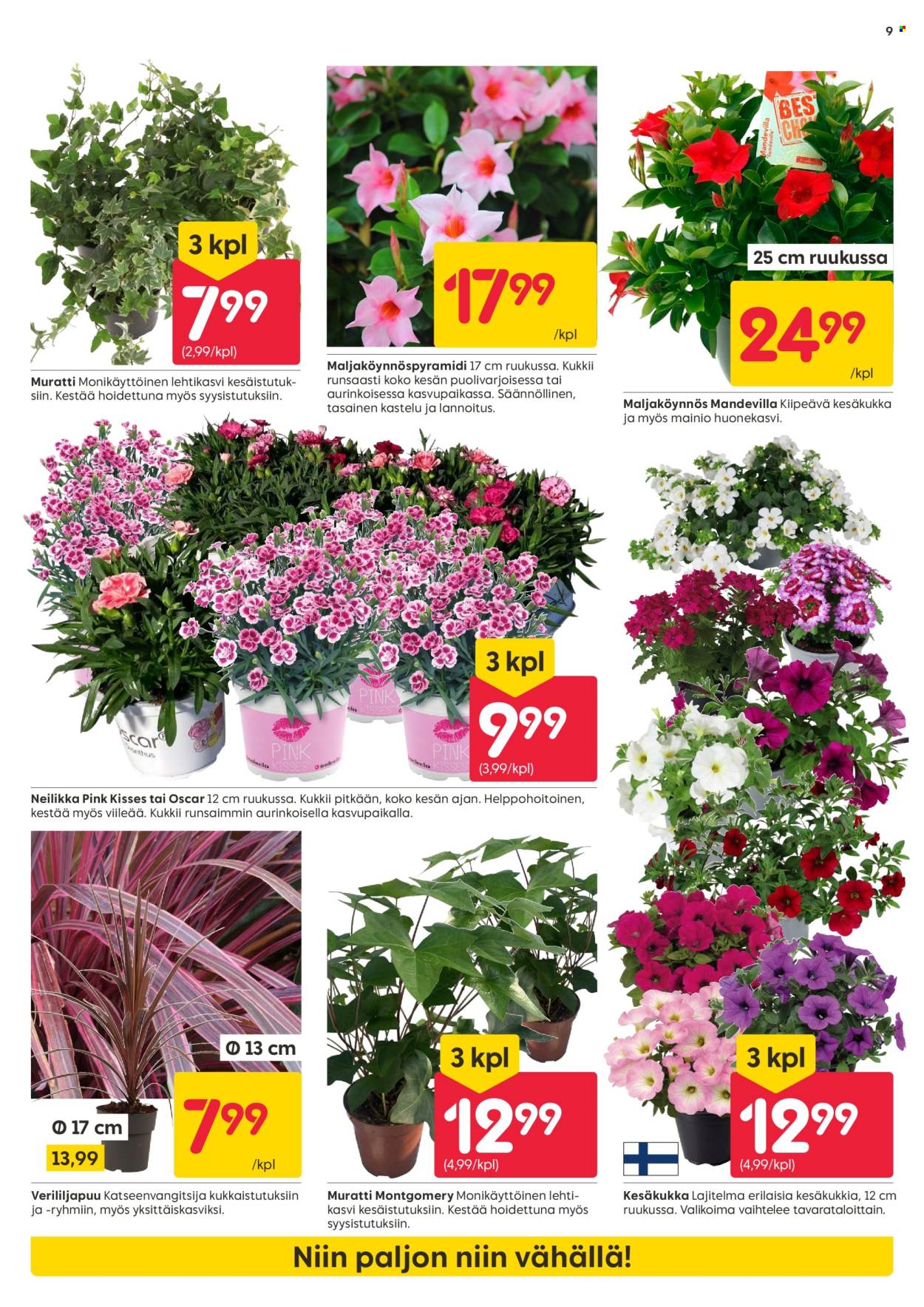 Rusta tarjoukset - 26.05.2025 - 01.06.2025. Sivu 9