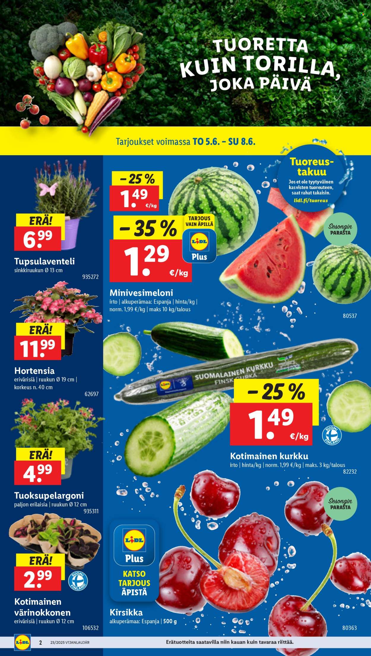 Lidl tarjoukset - 05.06.2025 - 11.06.2025. Sivu 4