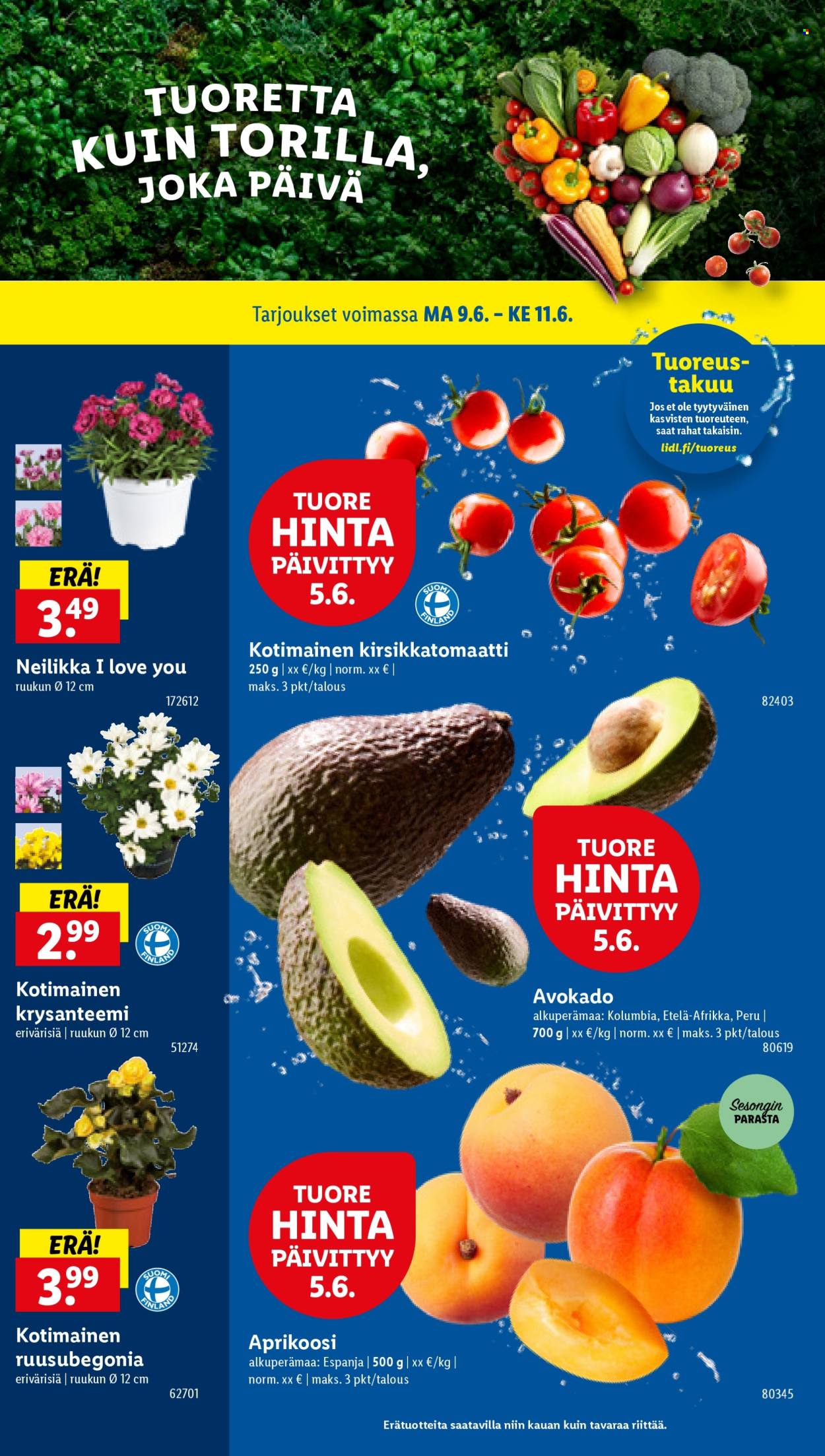 Lidl tarjoukset - 05.06.2025 - 11.06.2025. Sivu 25