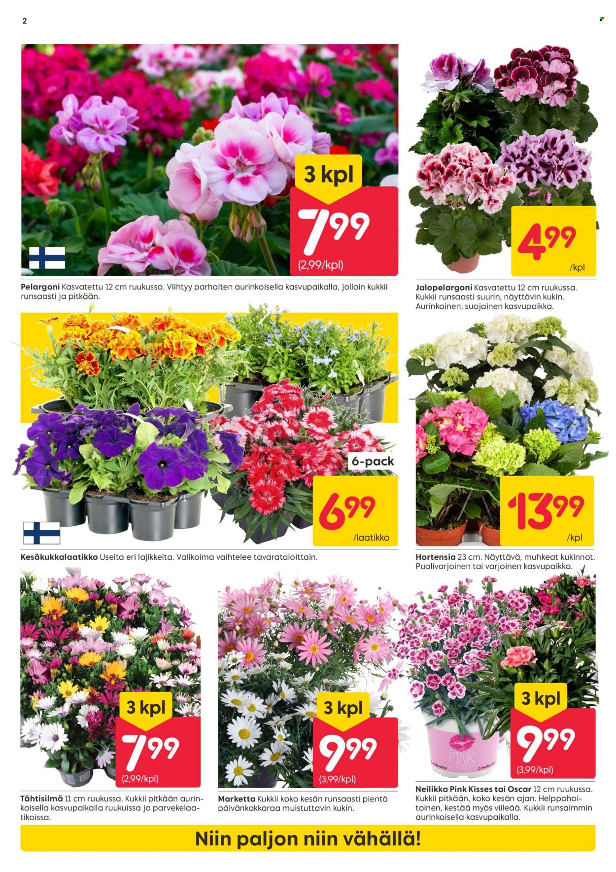 Rusta tarjoukset - 02.06.2025 - 08.06.2025. Sivu 2