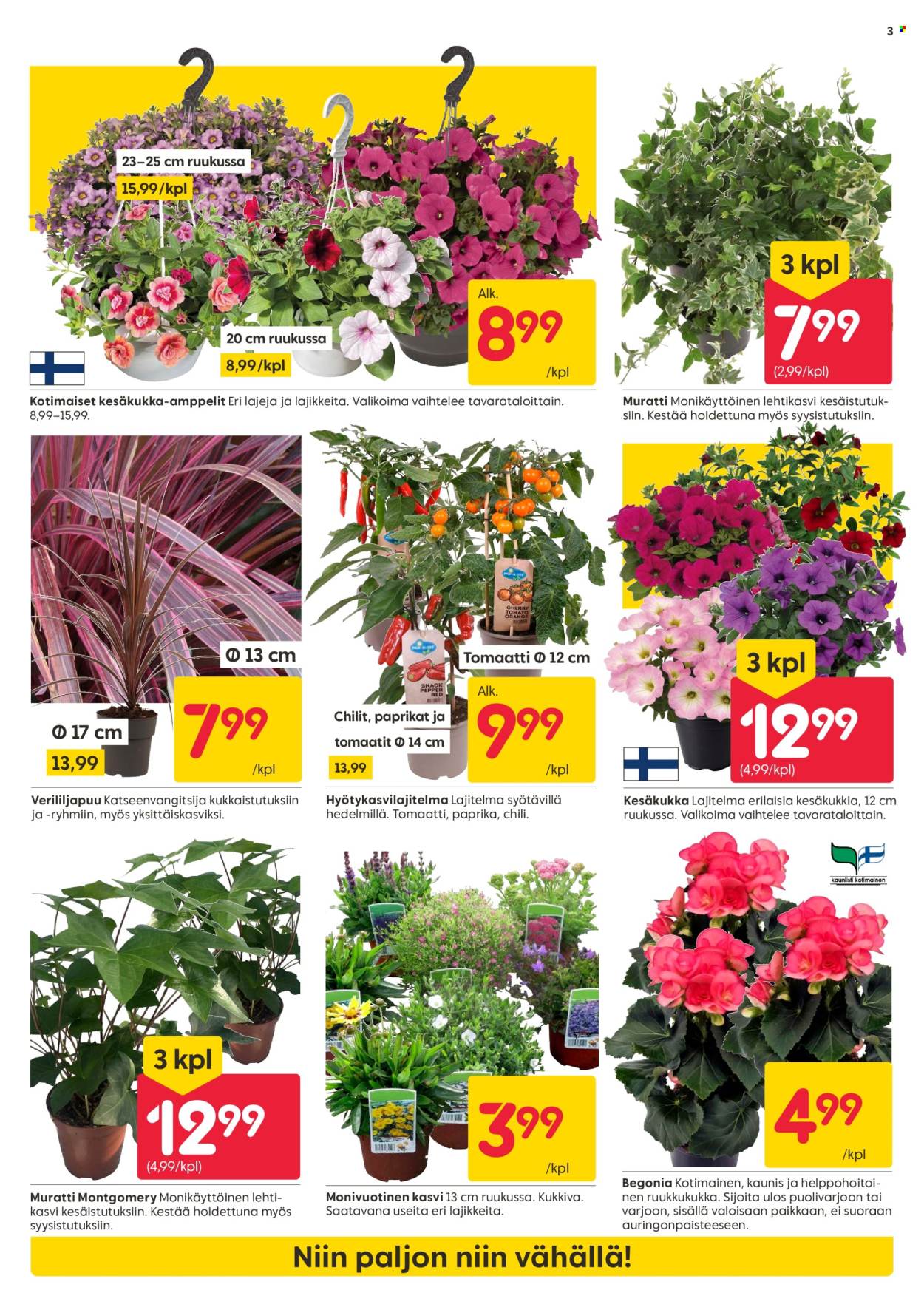 Rusta tarjoukset - 02.06.2025 - 08.06.2025. Sivu 3