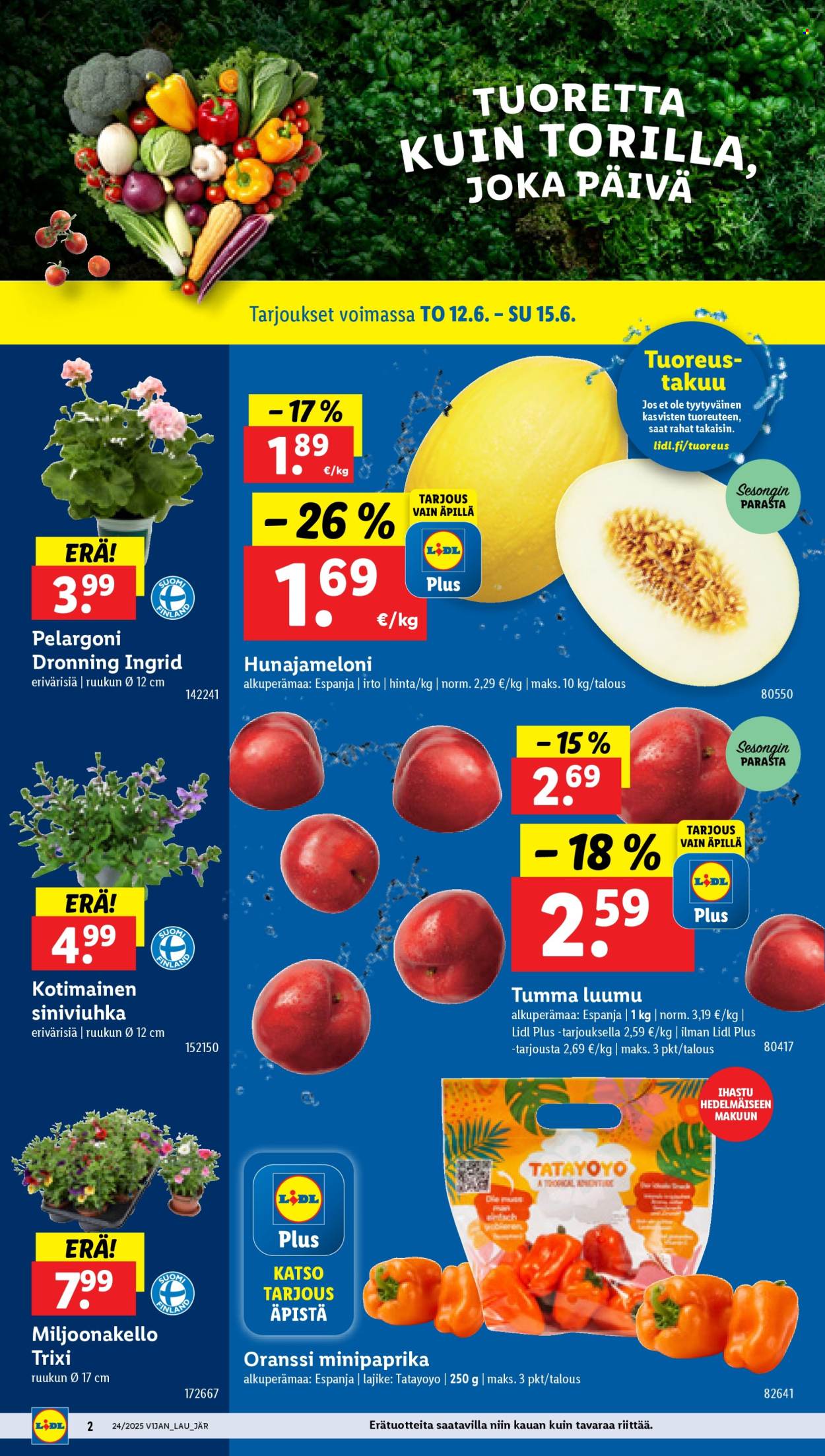 Lidl tarjoukset - 12.06.2025 - 17.06.2025. Sivu 2