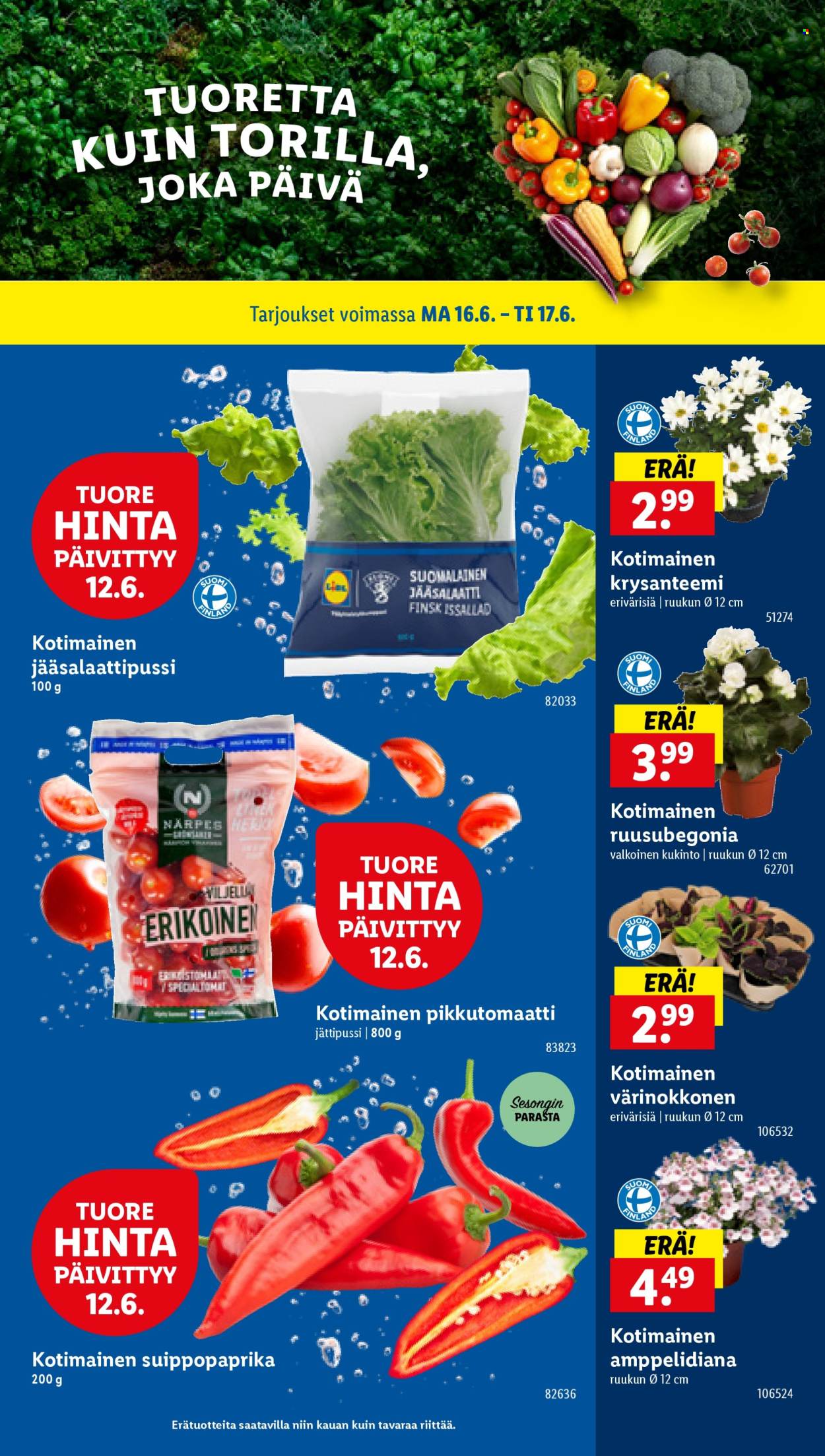 Lidl tarjoukset - 12.06.2025 - 17.06.2025. Sivu 25