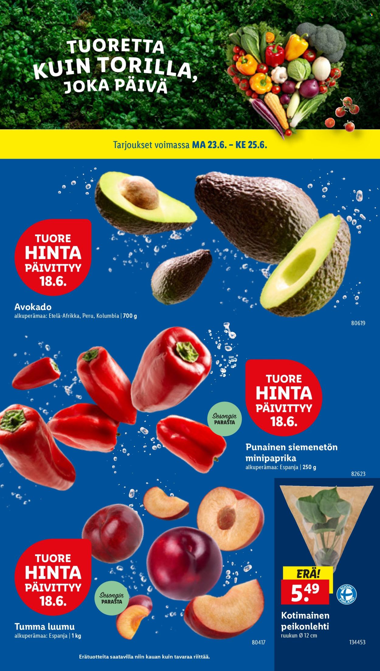 Lidl tarjoukset - 18.06.2025 - 25.06.2025. Sivu 15