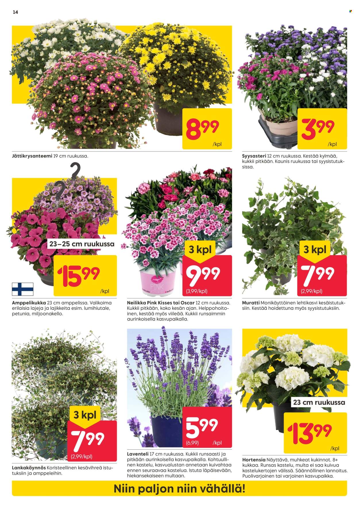 Rusta tarjoukset - 16.06.2025 - 22.06.2025. Sivu 14