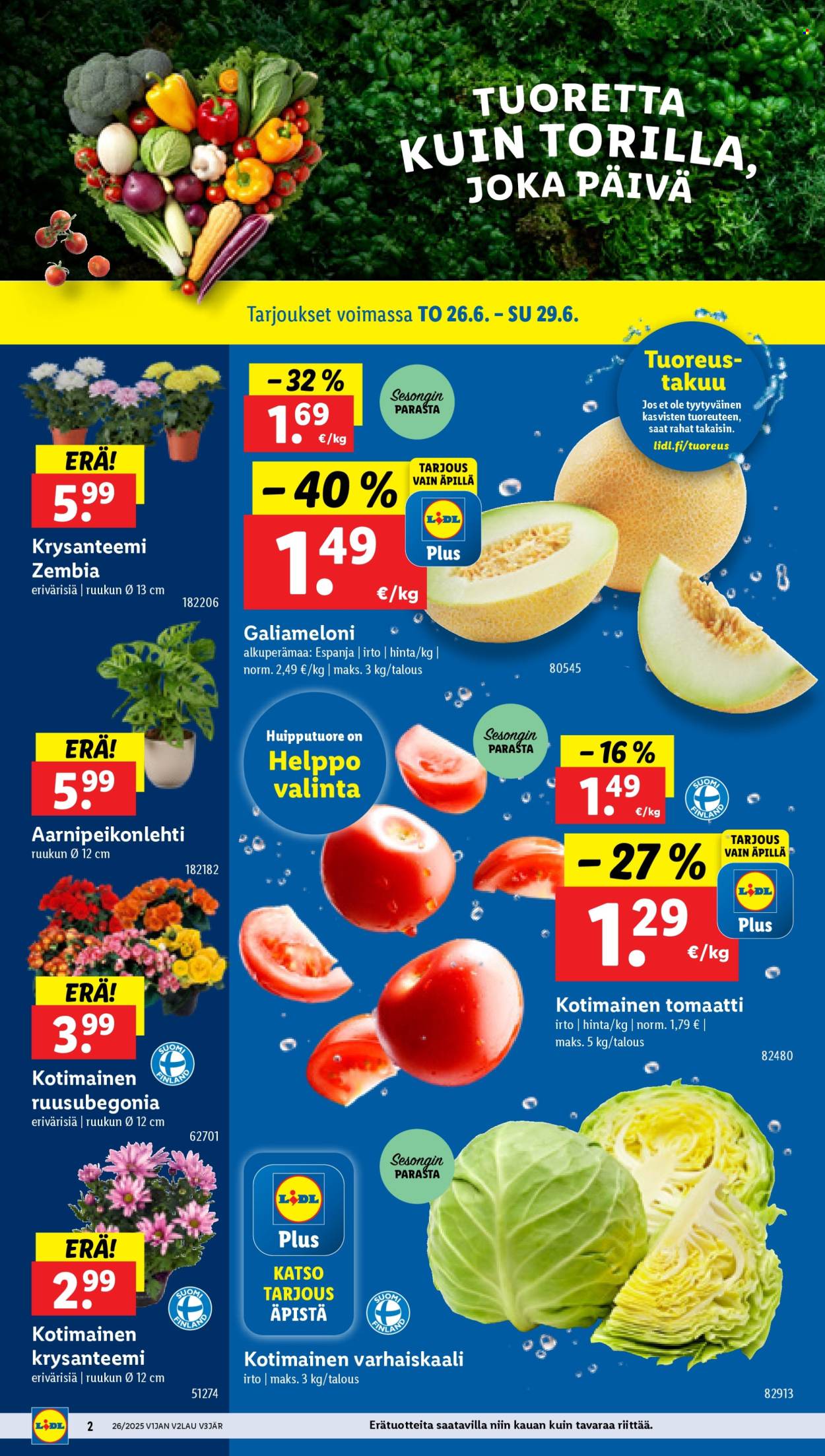 Lidl tarjoukset - 26.06.2025 - 02.07.2025. Sivu 4