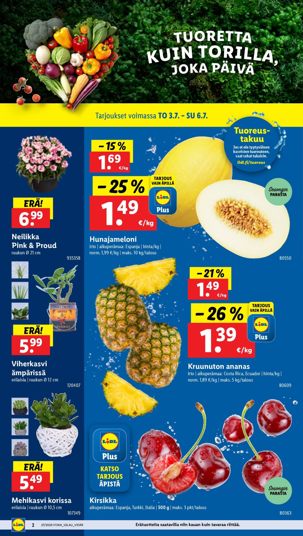 Lidl tarjoukset - 03.07.2025 - 09.07.2025. Sivu 4
