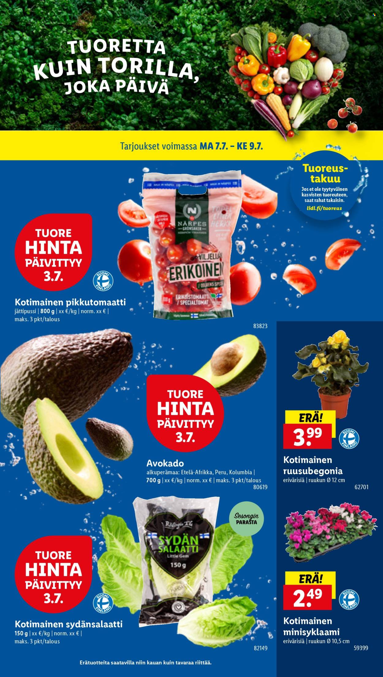 Lidl tarjoukset - 03.07.2025 - 09.07.2025. Sivu 23