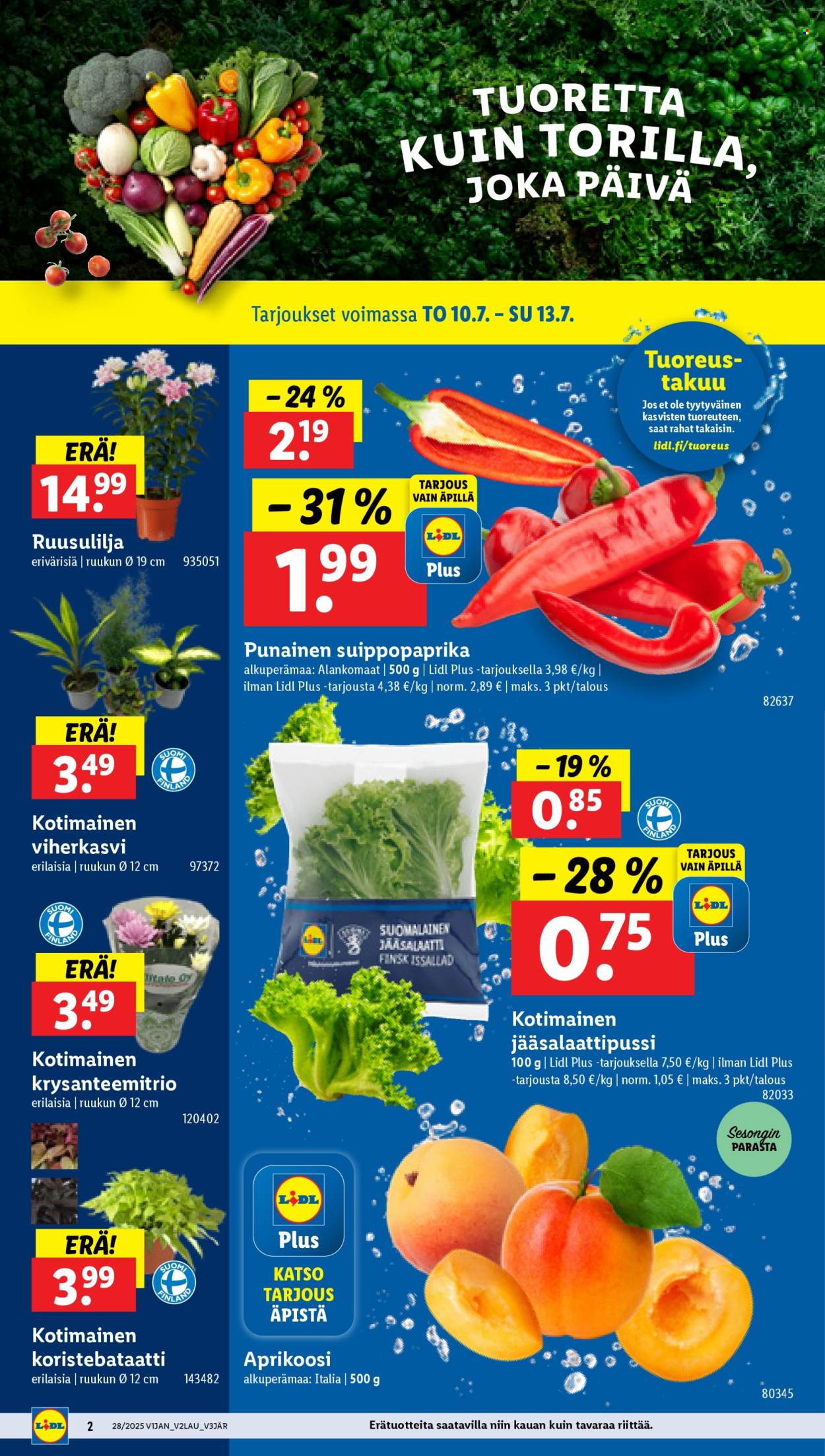 Lidl tarjoukset - 10.07.2025 - 16.07.2025. Sivu 4
