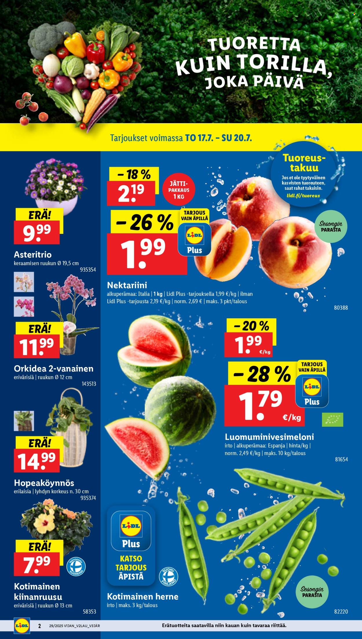 Lidl tarjoukset - 17.07.2025 - 23.07.2025. Sivu 4