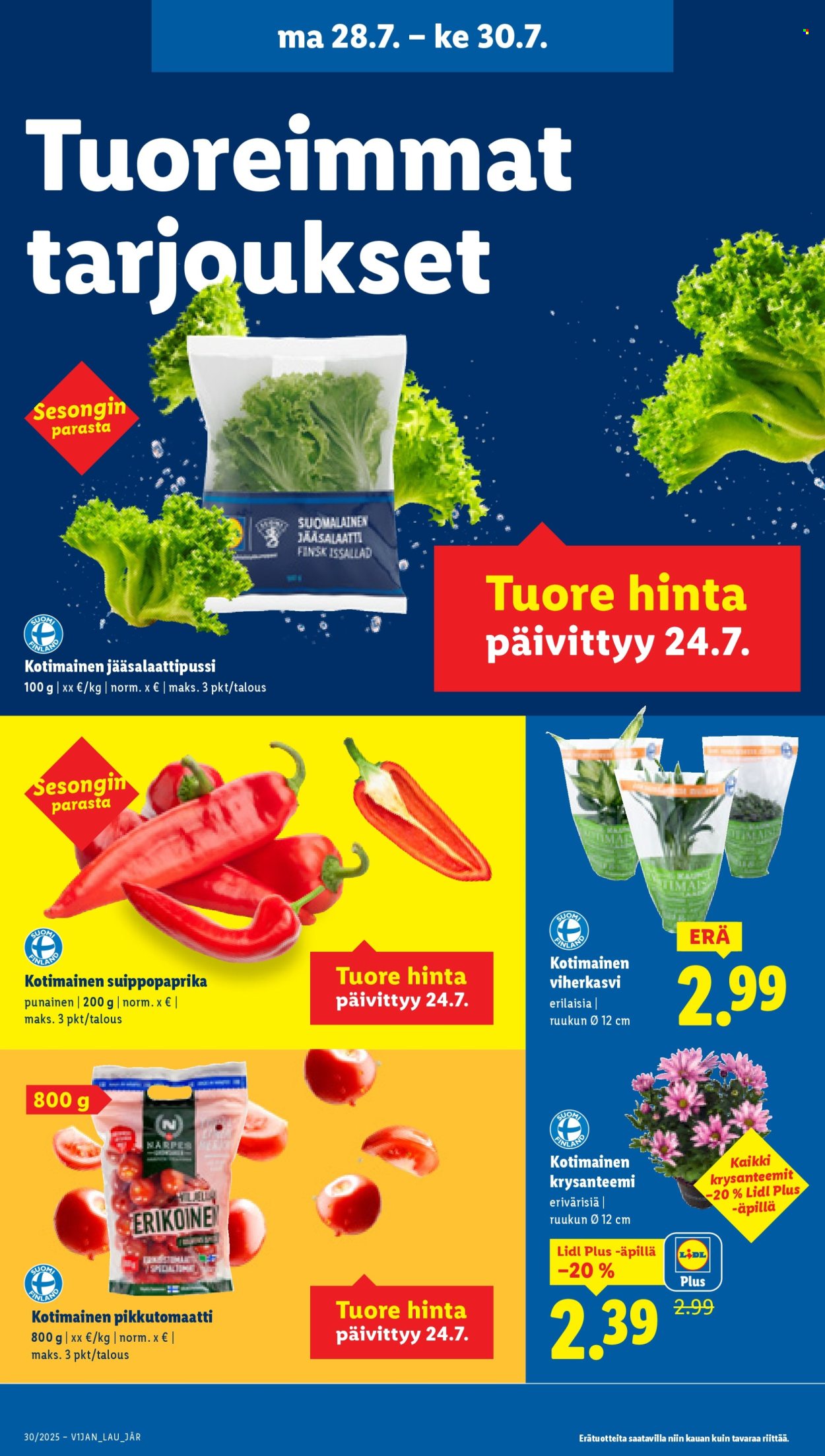 Lidl tarjoukset - 24.07.2025 - 30.07.2025. Sivu 21