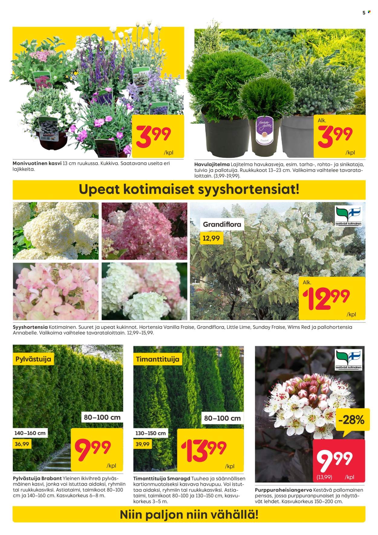 Rusta tarjoukset - 28.07.2025 - 10.08.2025. Sivu 5