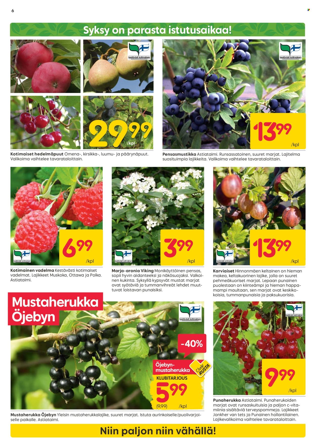 Rusta tarjoukset - 28.07.2025 - 10.08.2025. Sivu 6