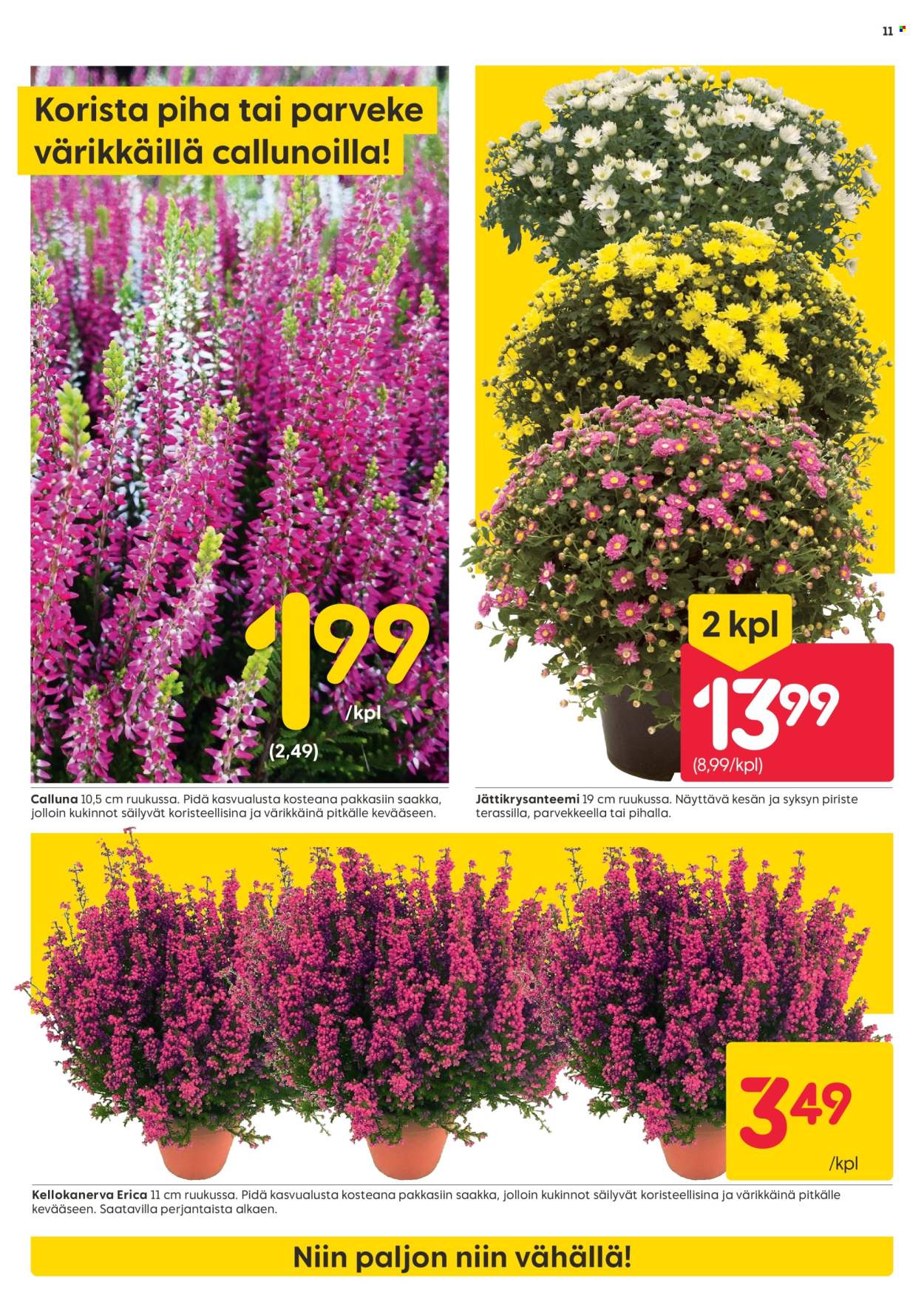 Rusta tarjoukset - 18.08.2025 - 24.08.2025. Sivu 11