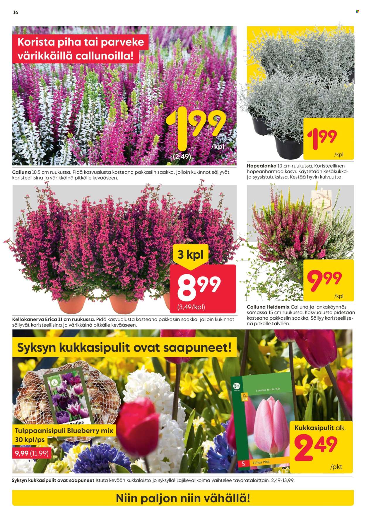 Rusta tarjoukset - 25.08.2025 - 31.08.2025. Sivu 16