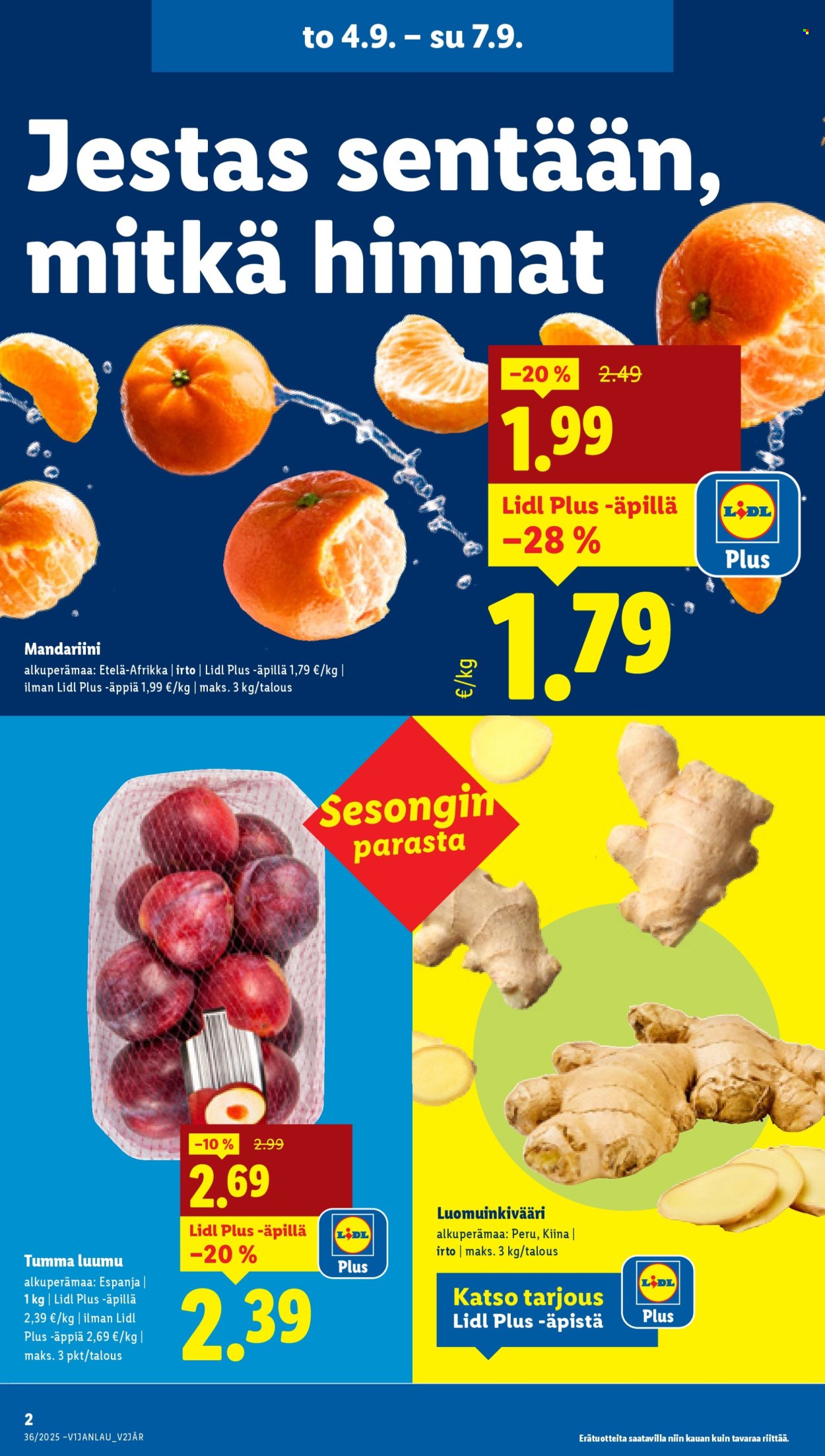 Lidl tarjoukset - 04.09.2025 - 10.09.2025. Sivu 4
