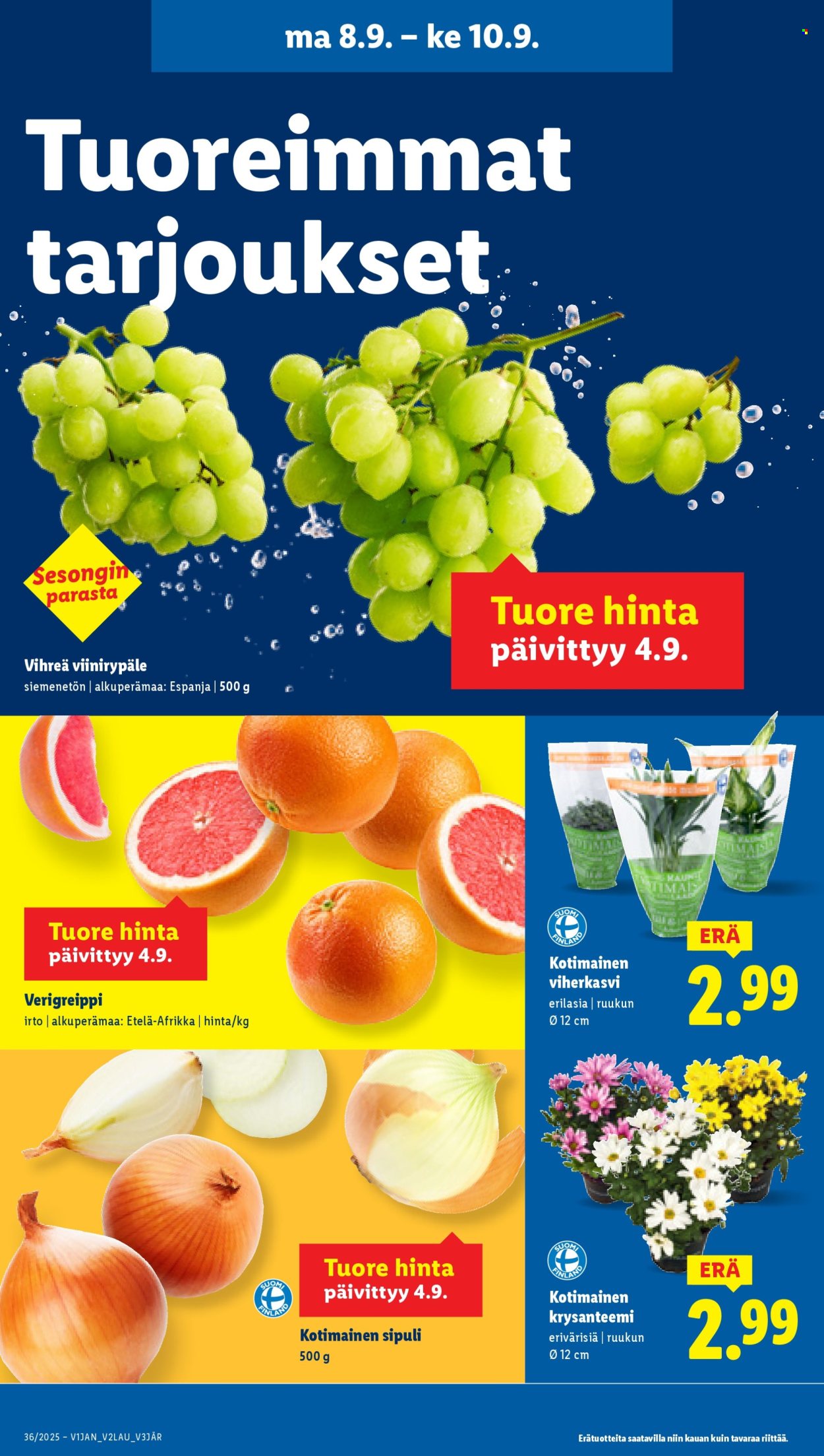 Lidl tarjoukset - 04.09.2025 - 10.09.2025. Sivu 25