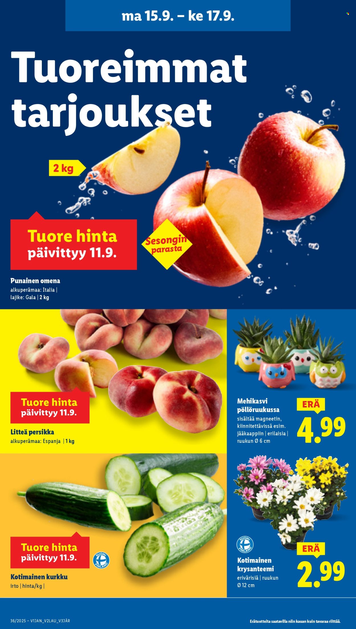 Lidl tarjoukset - 11.09.2025 - 17.09.2025. Sivu 21