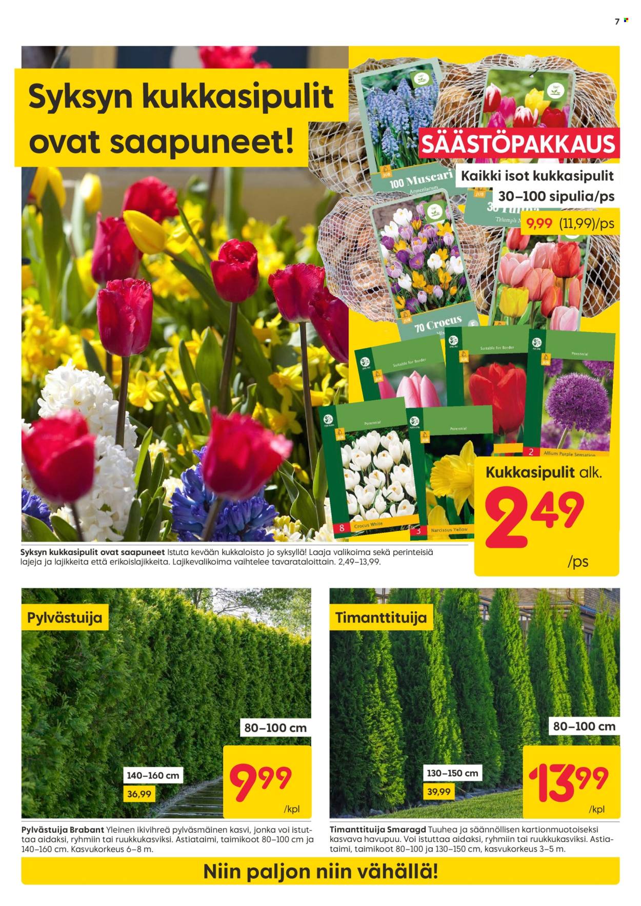 Rusta tarjoukset - 08.09.2025 - 14.09.2025. Sivu 7