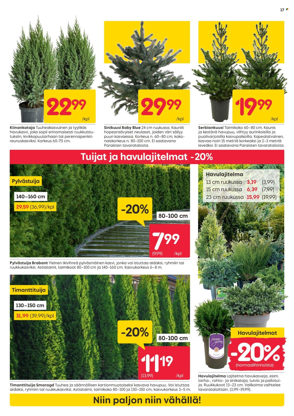 Rusta tarjoukset - 22.09.2025 - 28.09.2025. Sivu 17