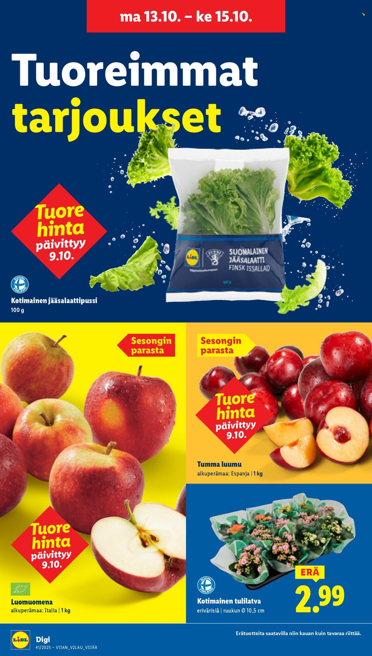 Lidl tarjoukset - 09.10.2025 - 15.10.2025. Sivu 28