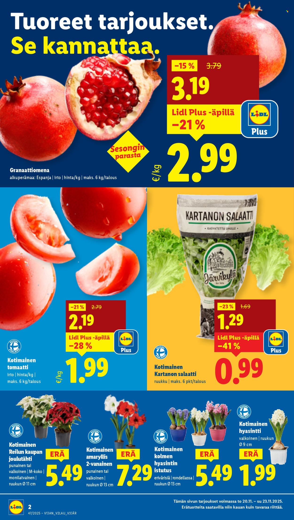Lidl tarjoukset - 20.11.2025 - 26.11.2025. Sivu 2