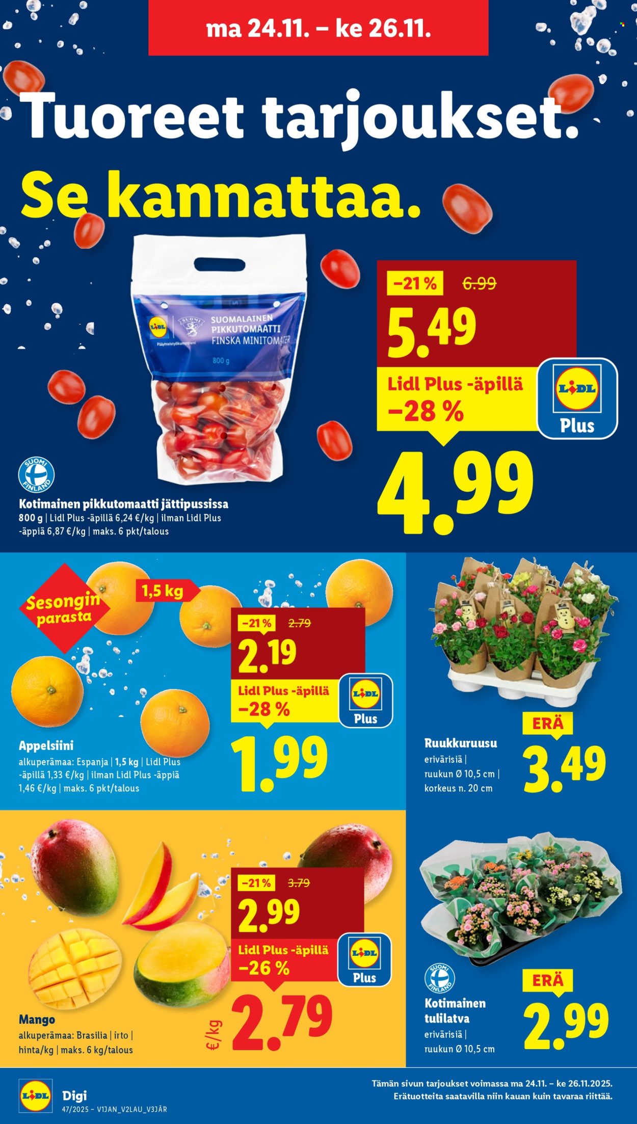 Lidl tarjoukset - 20.11.2025 - 26.11.2025. Sivu 17