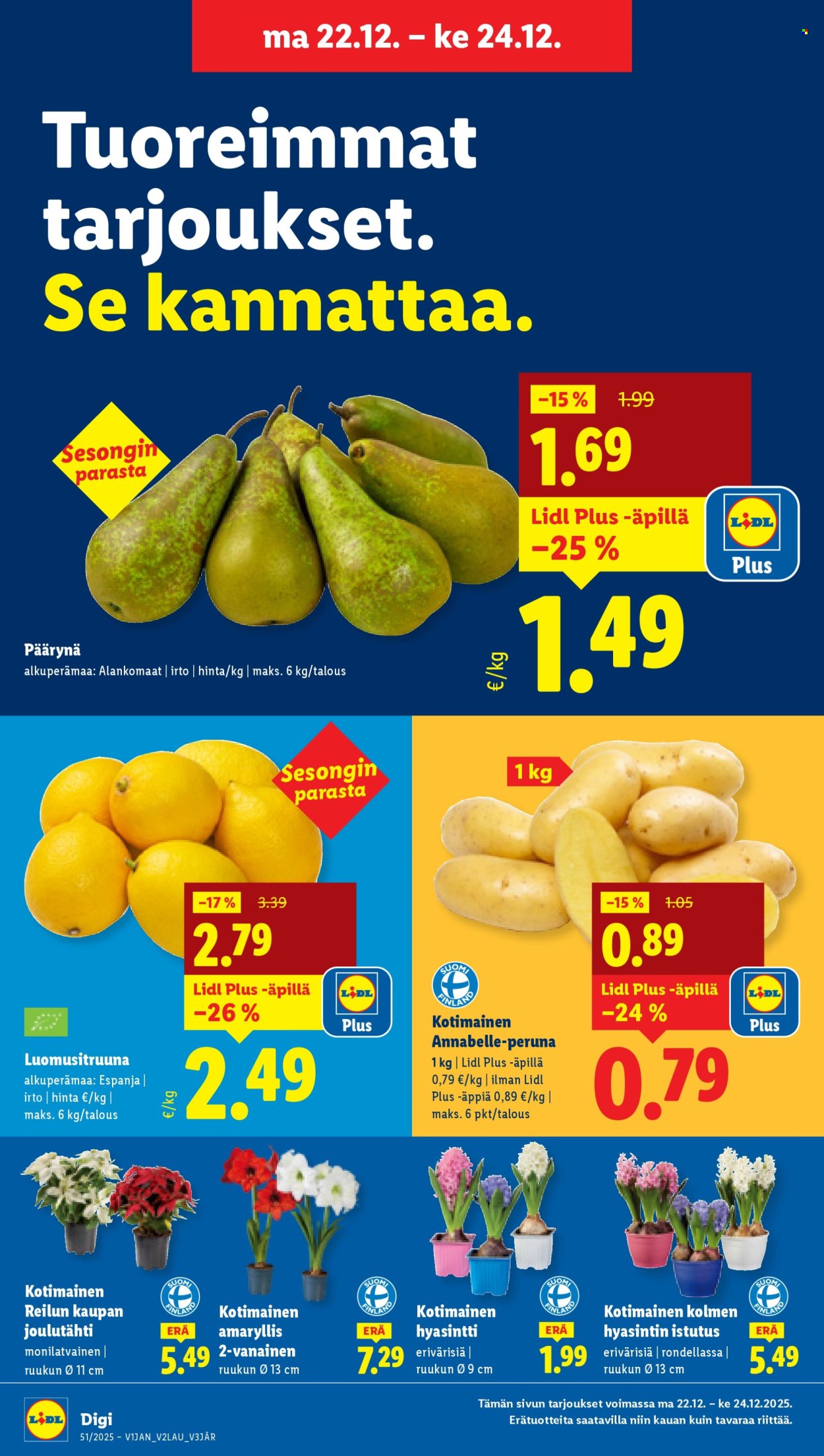Lidl tarjoukset - 18.12.2025 - 24.12.2025. Sivu 22