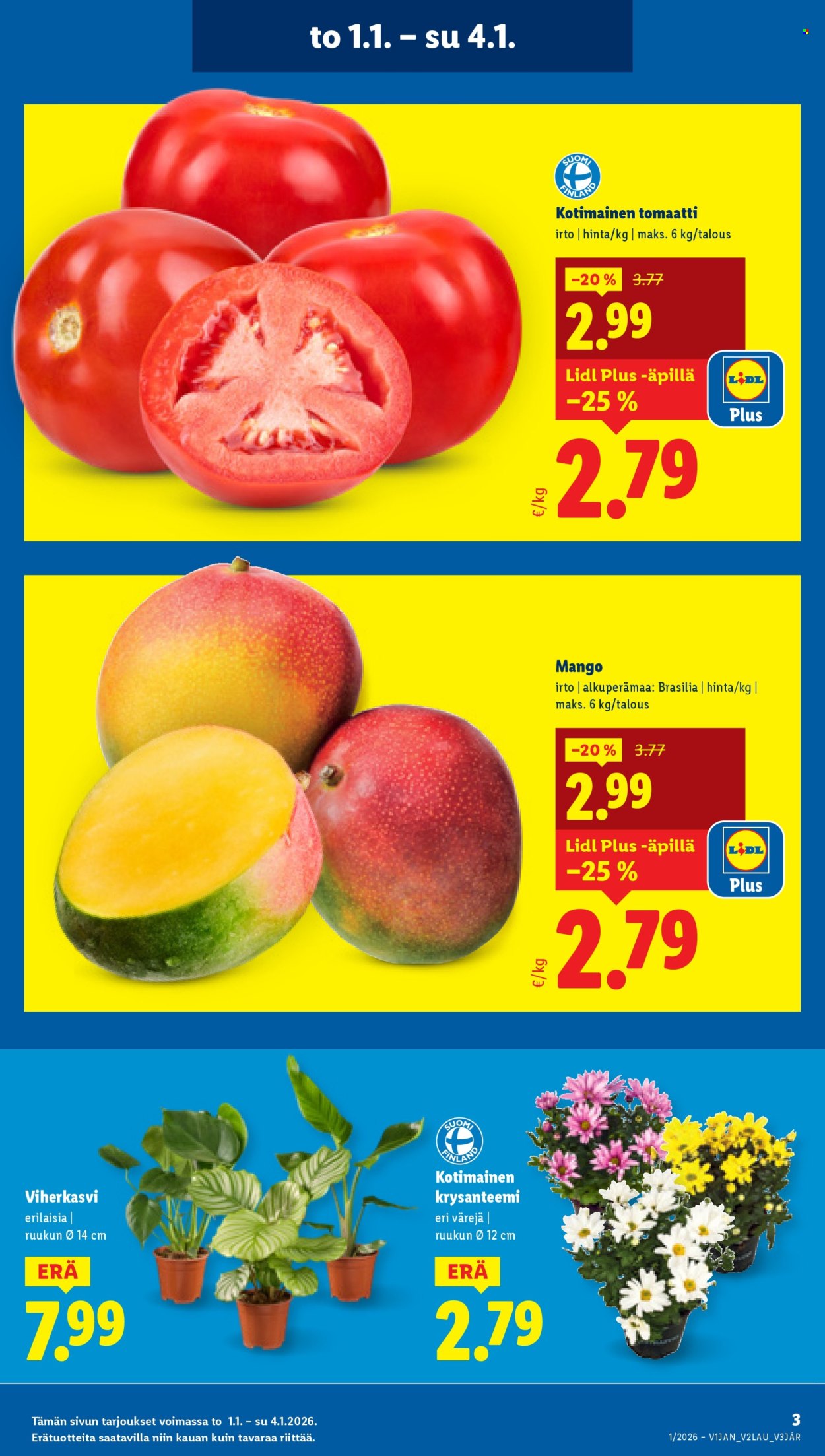 Lidl tarjoukset - 01.01.2026 - 07.01.2026. Sivu 3