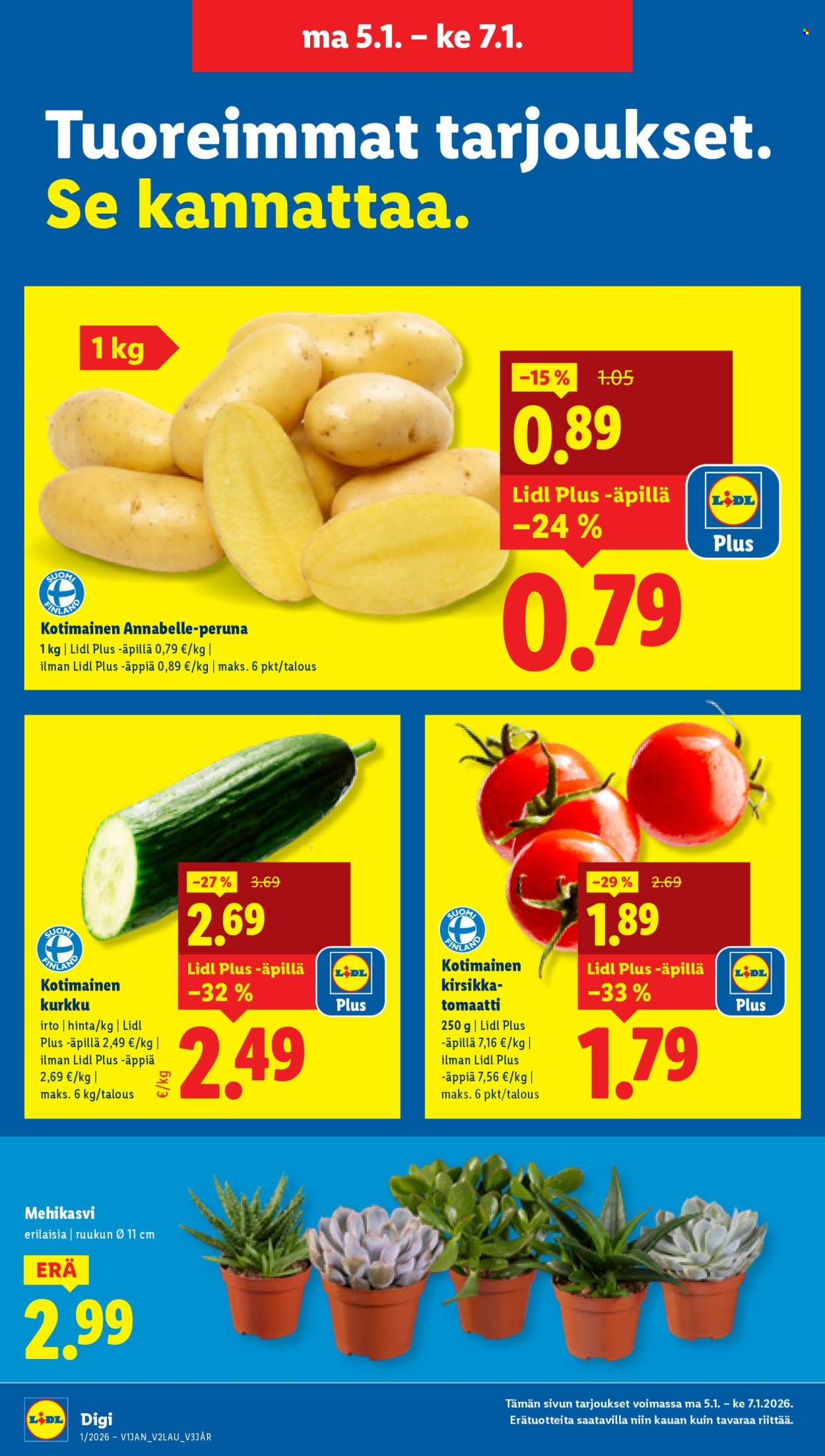 Lidl tarjoukset - 01.01.2026 - 07.01.2026. Sivu 19