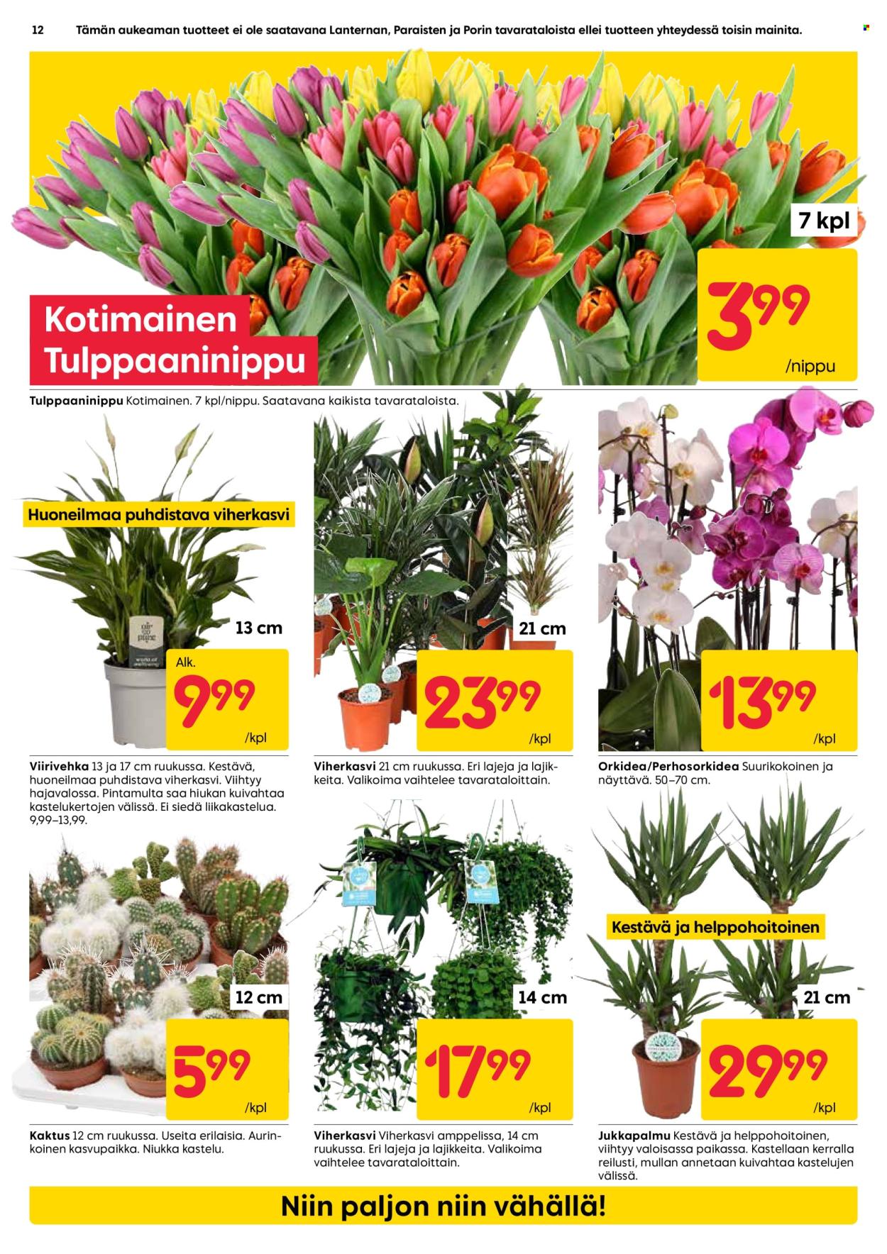 Rusta tarjoukset - 05.01.2026 - 11.01.2026. Sivu 12