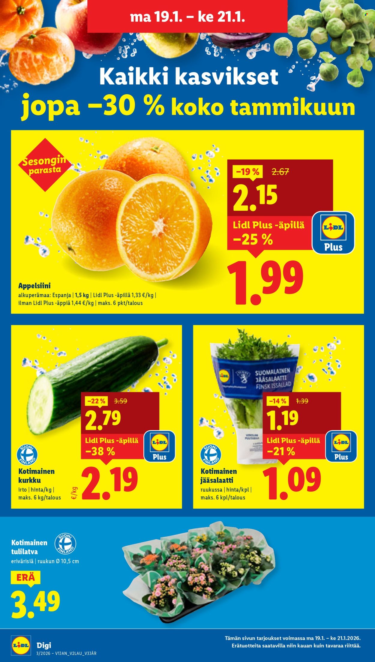 Lidl tarjoukset - 15.01.2026 - 21.01.2026. Sivu 20