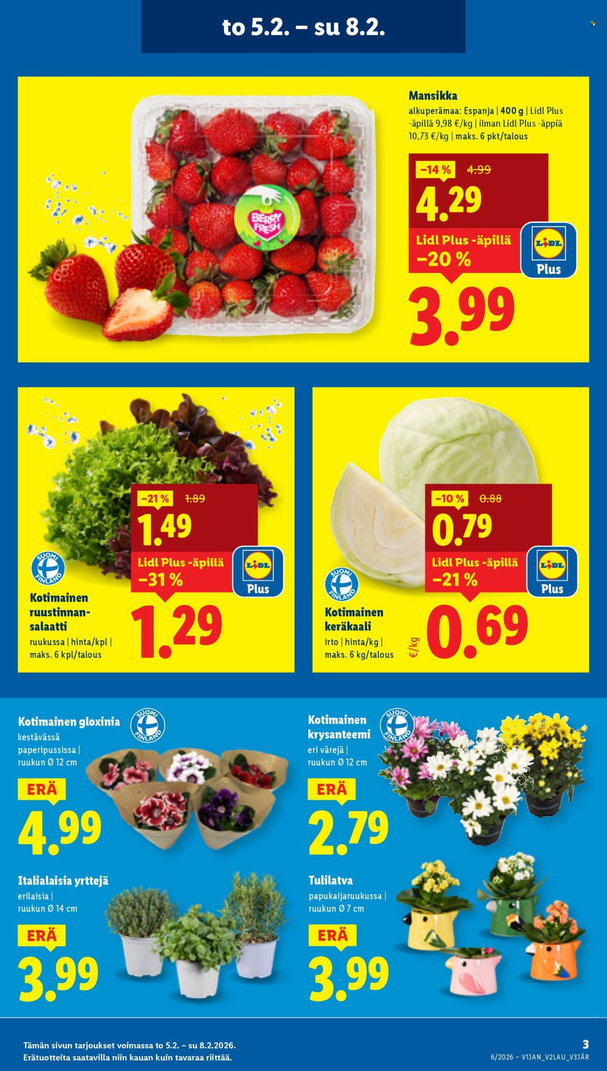 Lidl tarjoukset - 05.02.2026 - 11.02.2026. Sivu 3