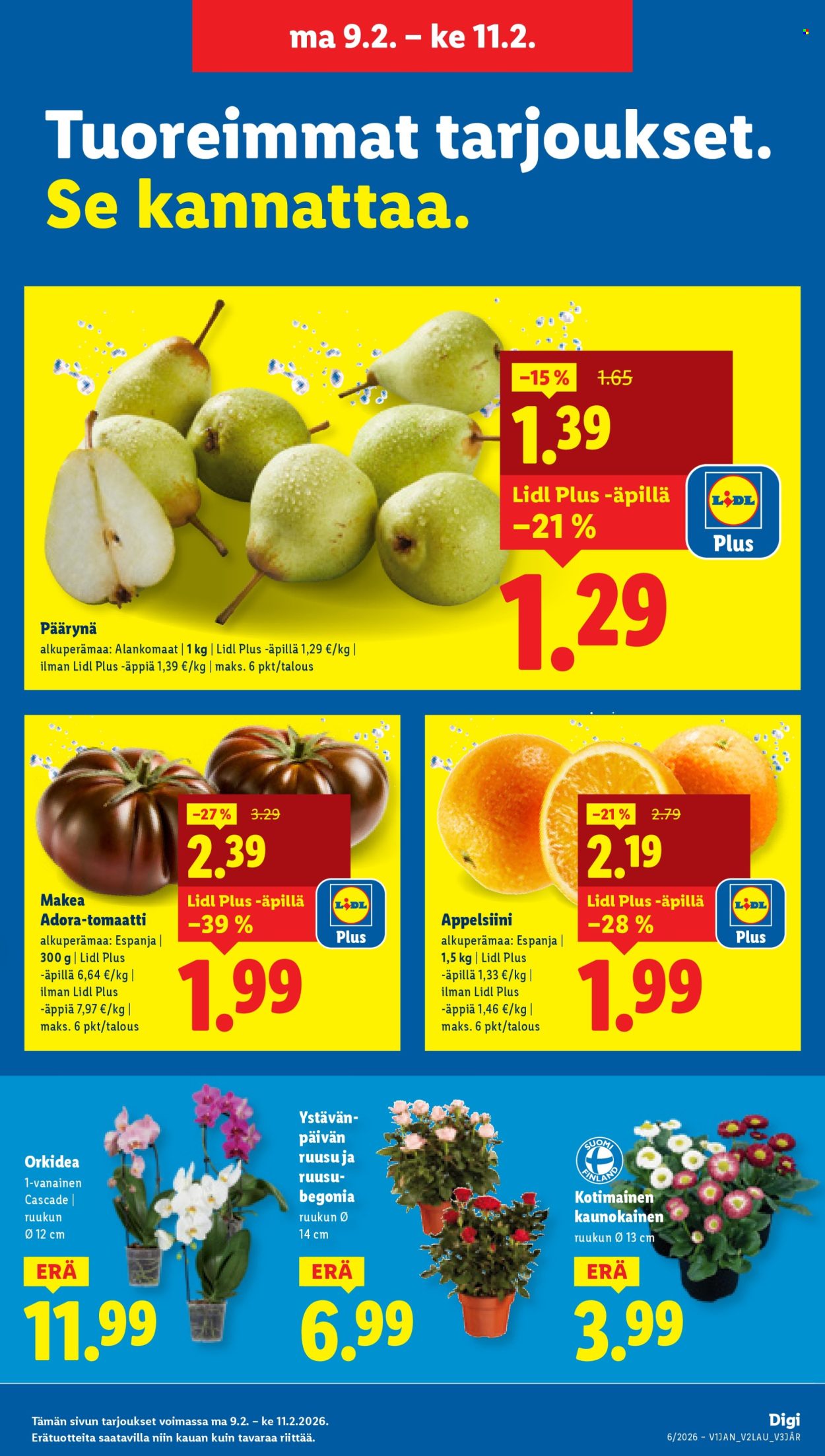 Lidl tarjoukset - 05.02.2026 - 11.02.2026. Sivu 21