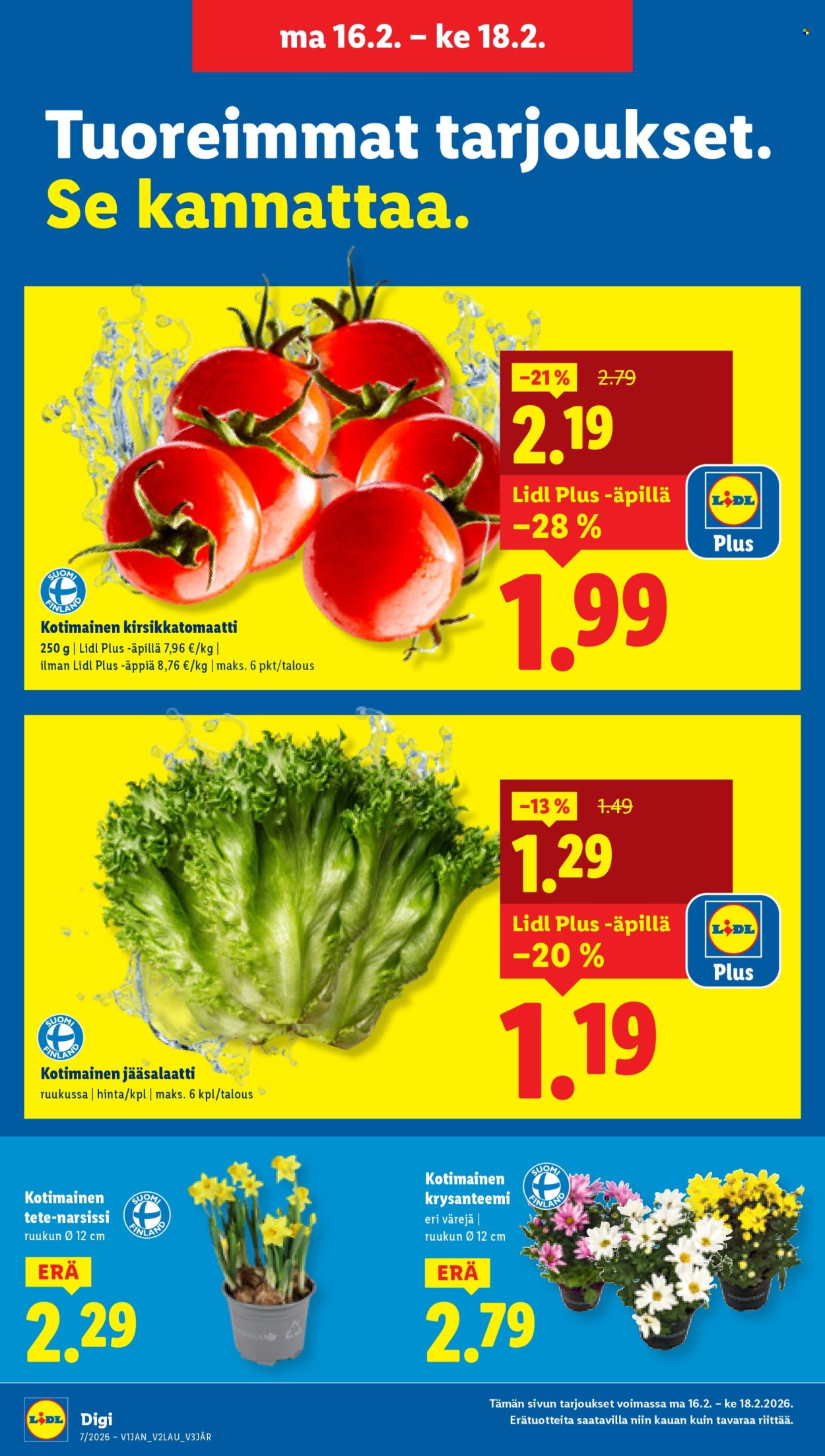 Lidl tarjoukset - 12.02.2026 - 18.02.2026. Sivu 19