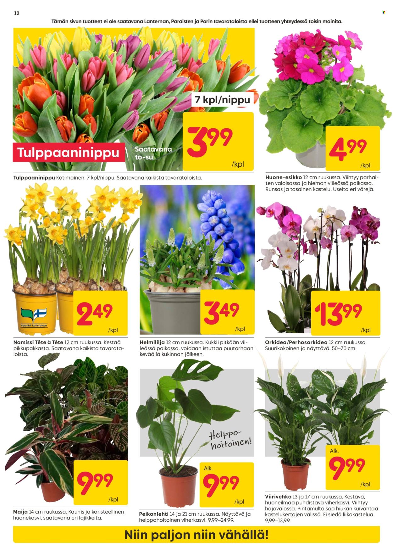 Rusta tarjoukset - 16.02.2026 - 22.02.2026. Sivu 12