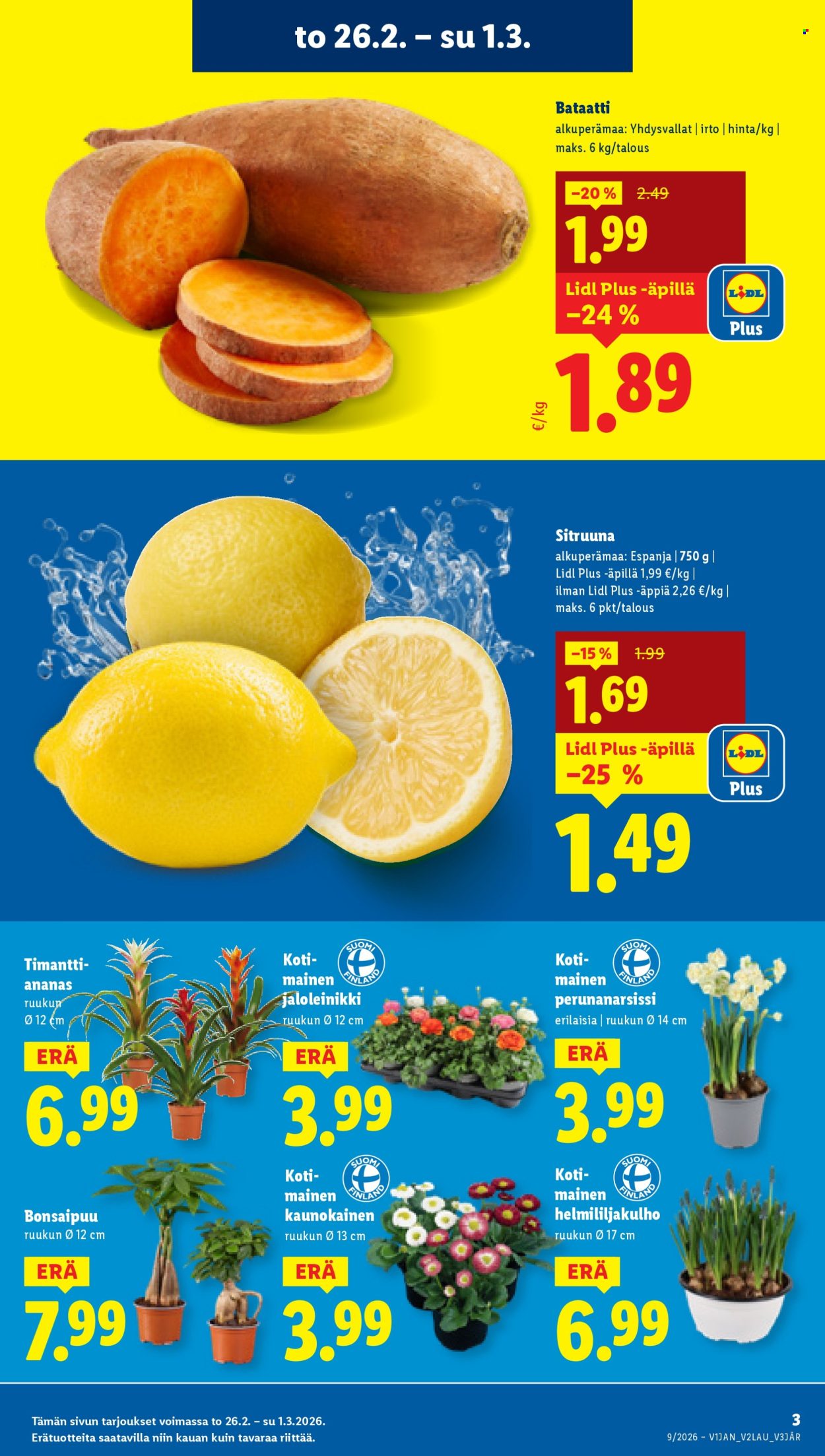 Lidl tarjoukset - 26.02.2026 - 04.03.2026. Sivu 3